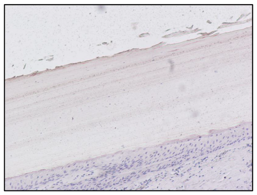 Toxics 10 00420 g003 550