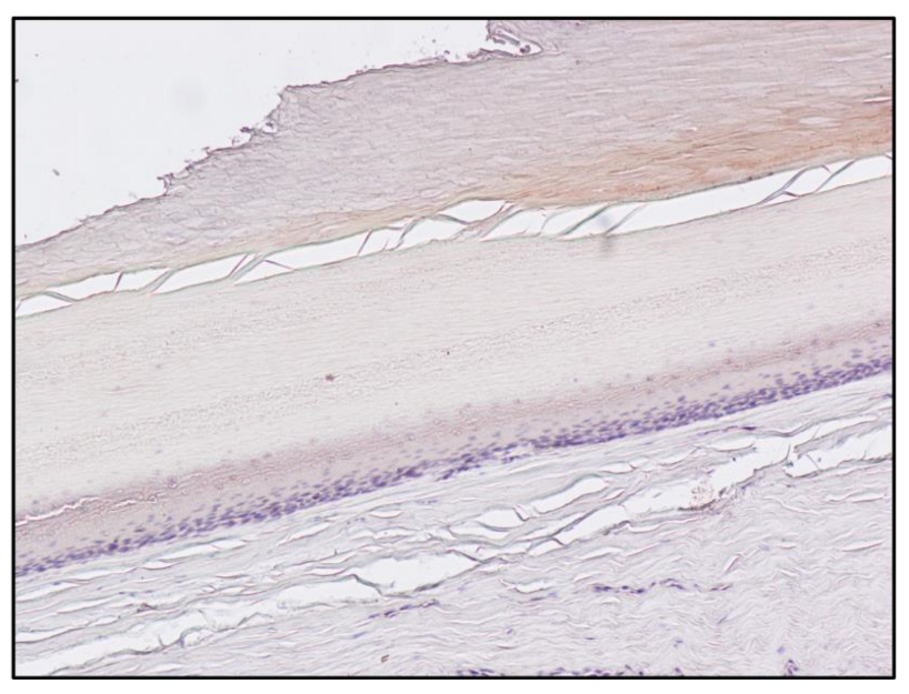 Toxics 10 00420 g004 550