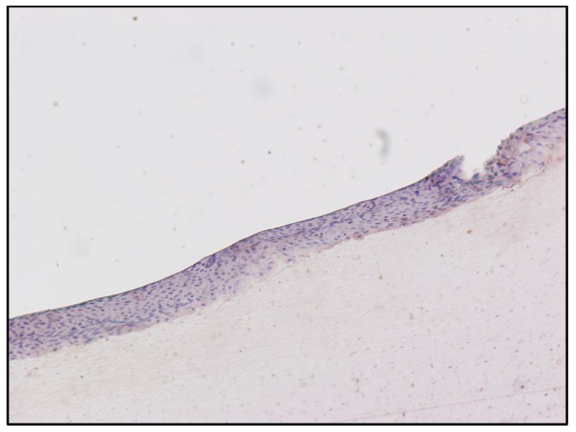 Toxics 10 00420 g006 550