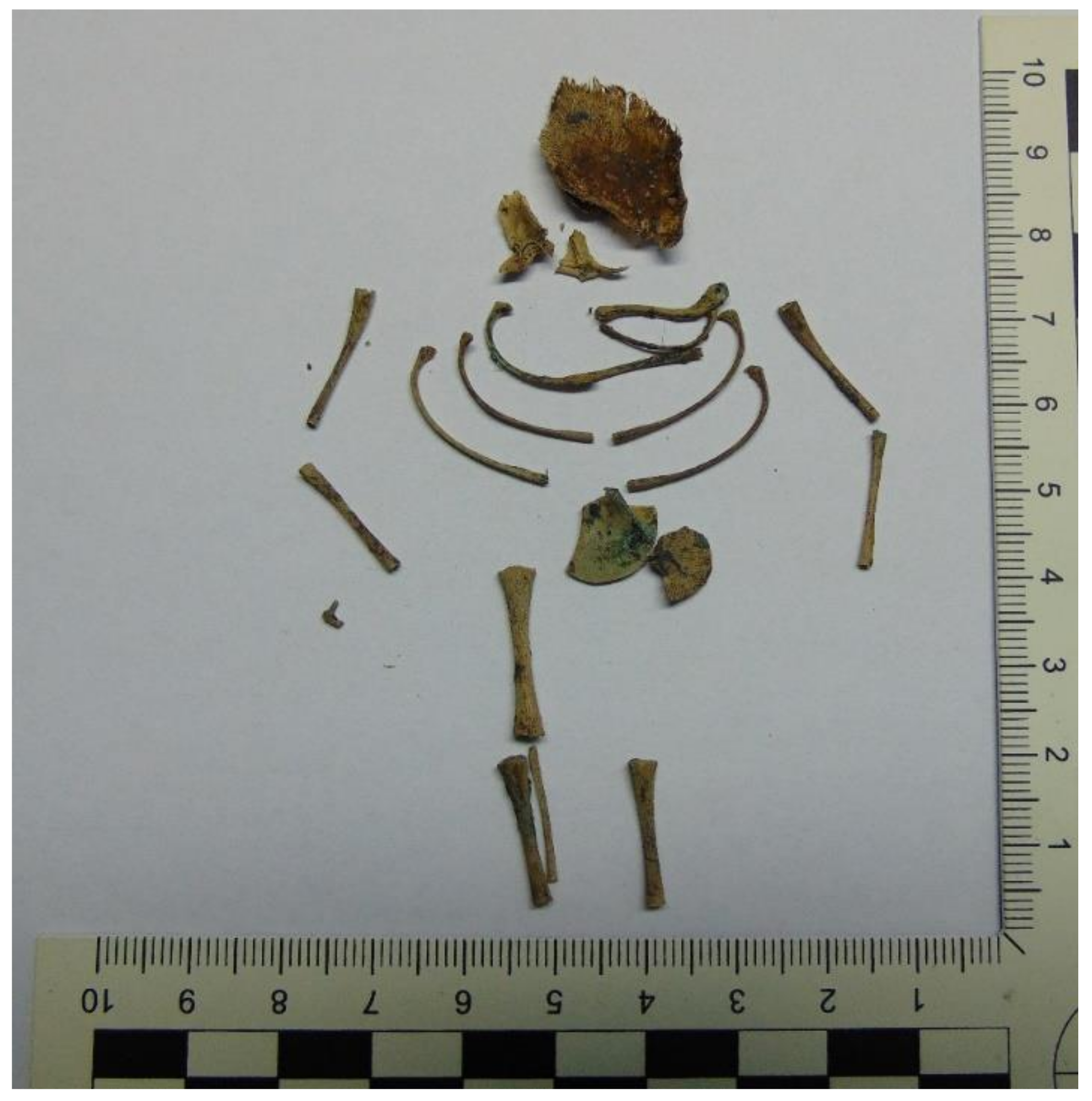 Toxics 10 00421 g001 Toxics 10 00421 g001