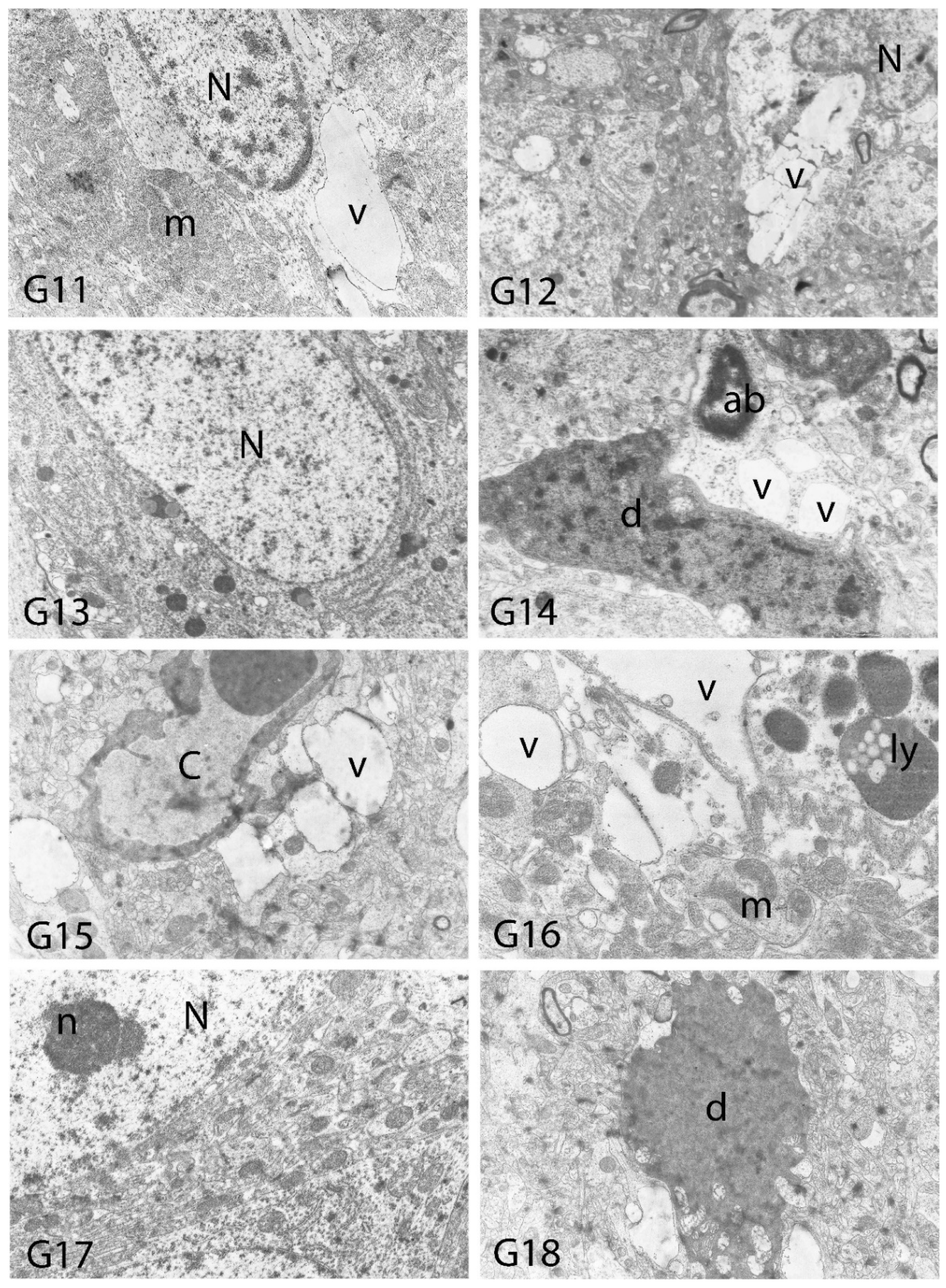 Toxics 10 00428 g013