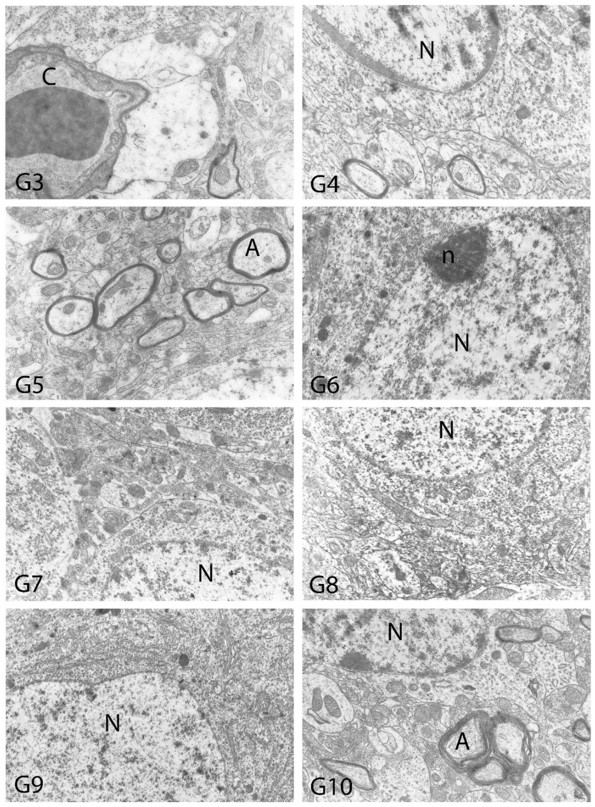 Toxics 10 00428 g015