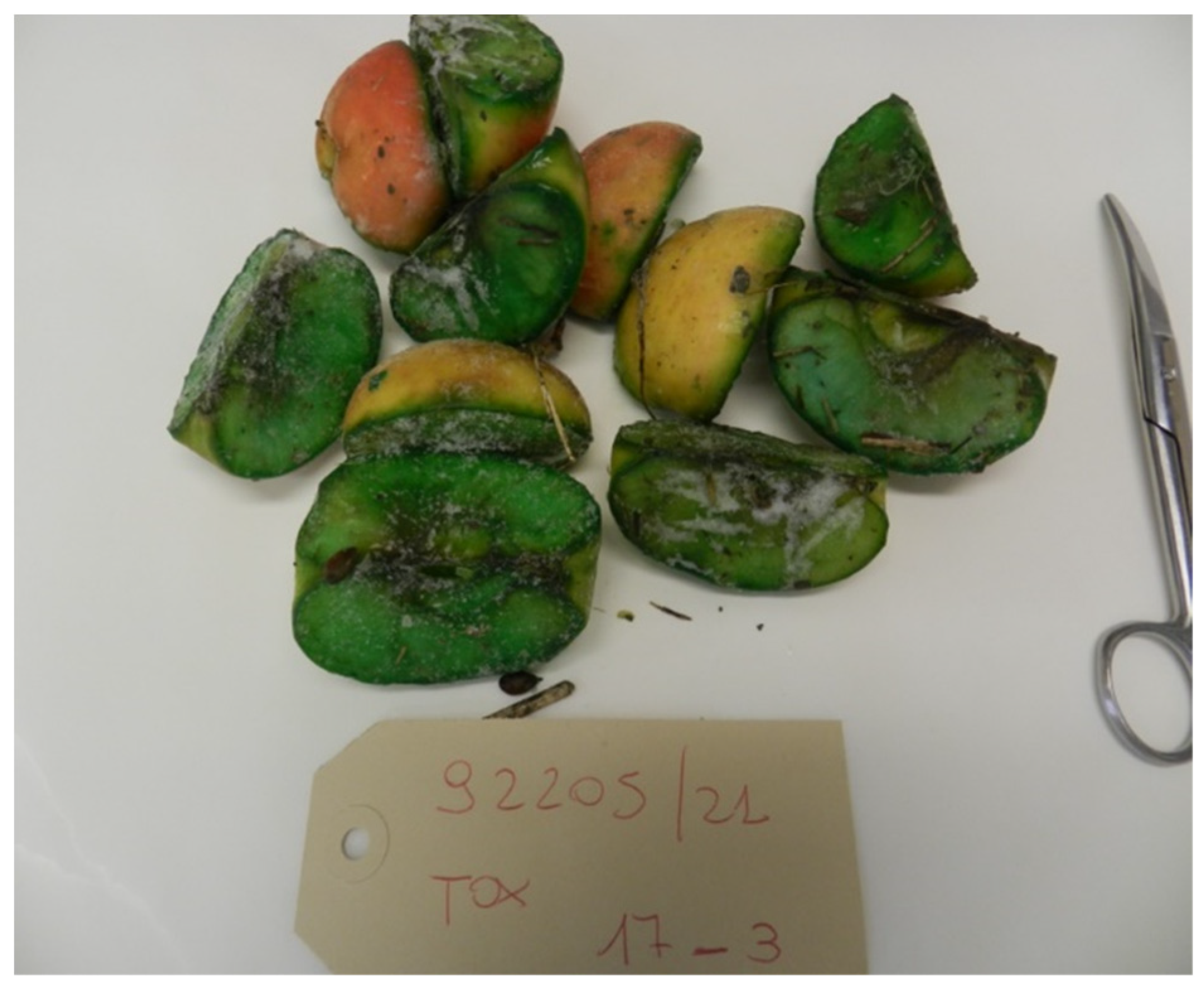 Toxics 10 00432 g007