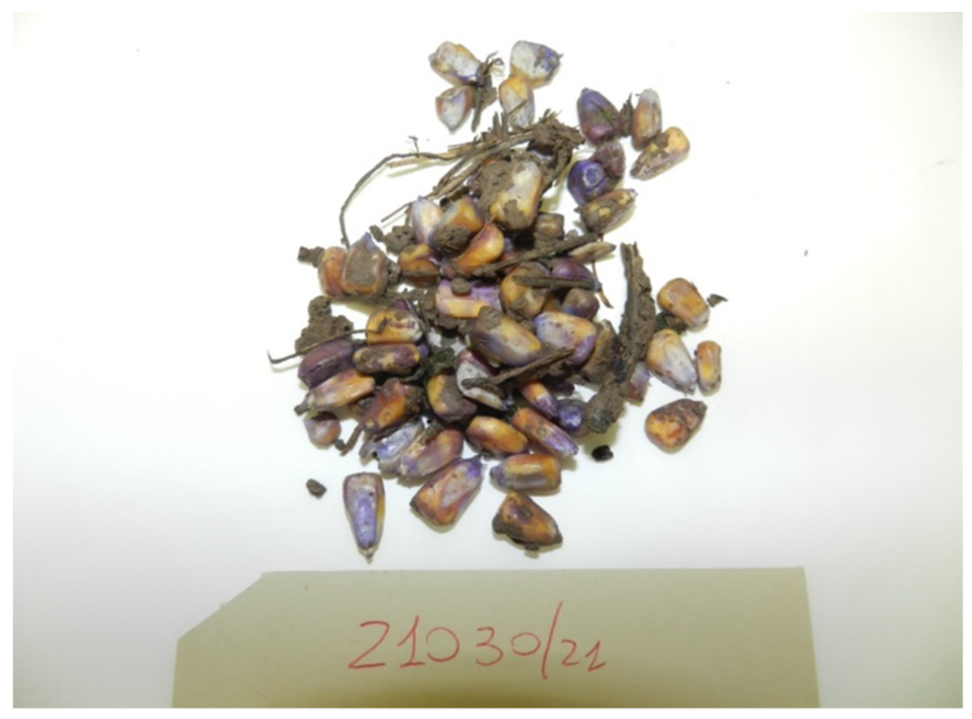 Toxics 10 00432 g008