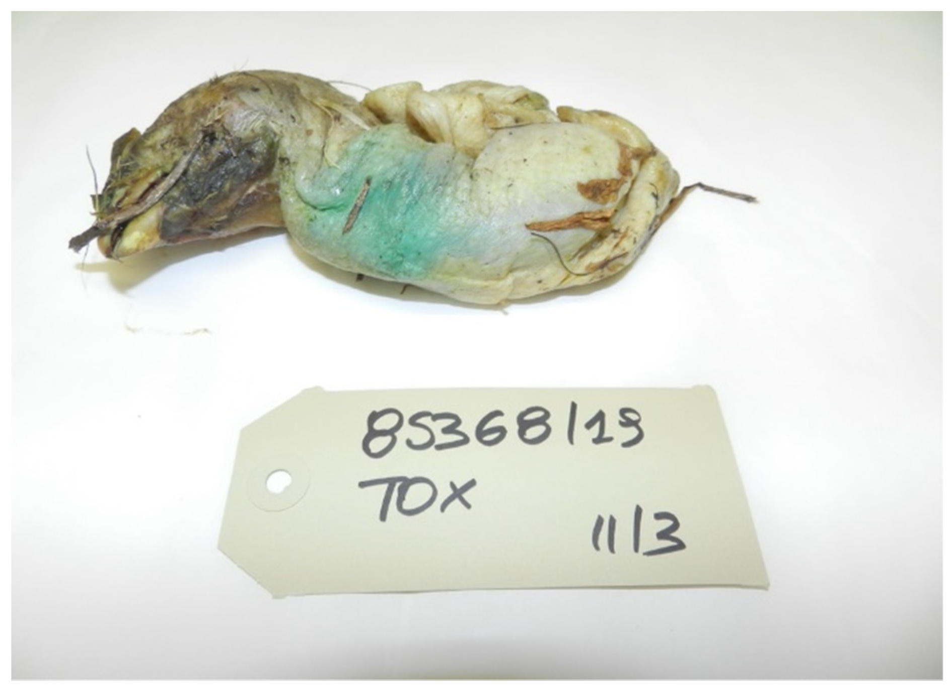 Toxics 10 00432 g009