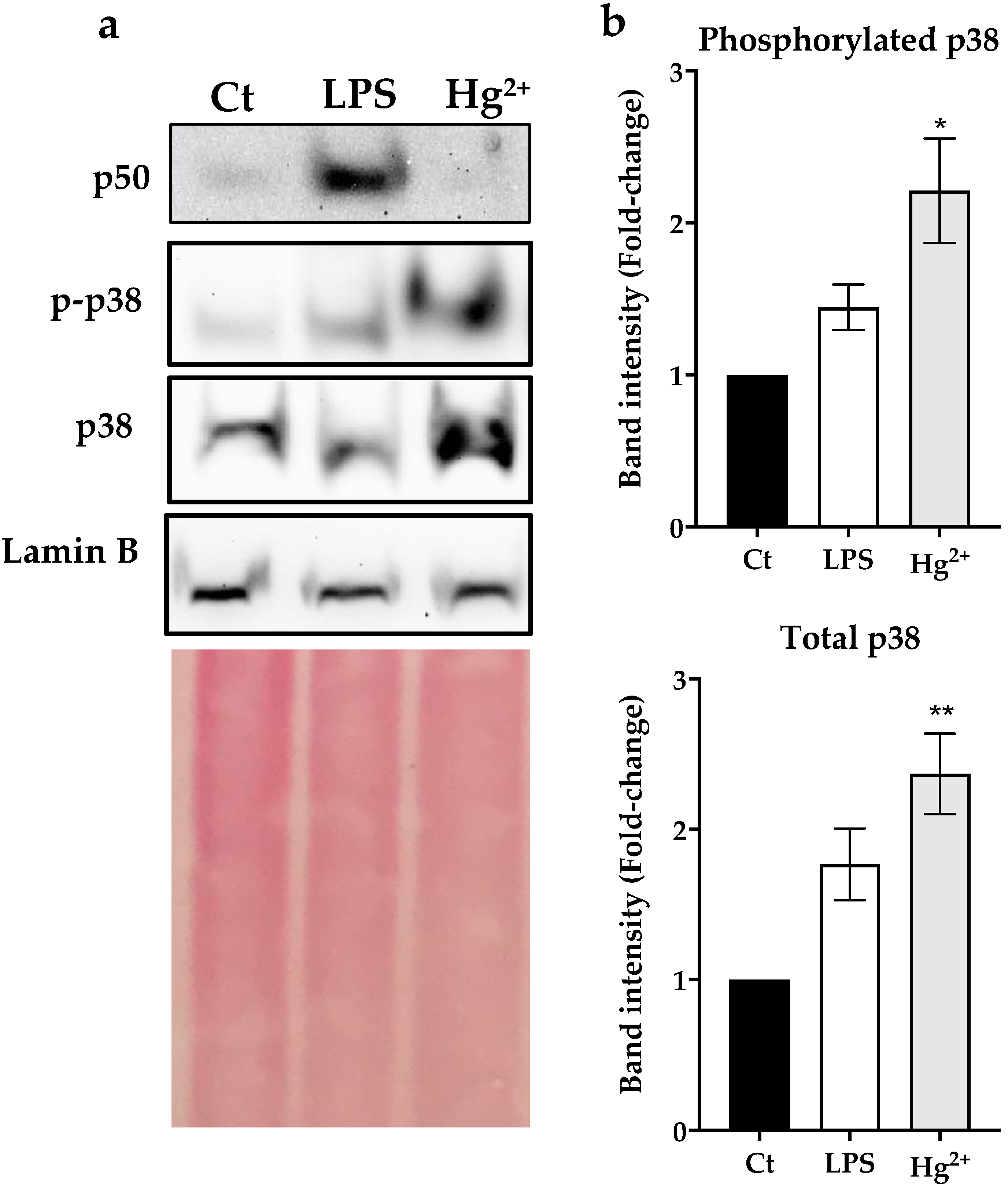 Toxics 10 00433 g002