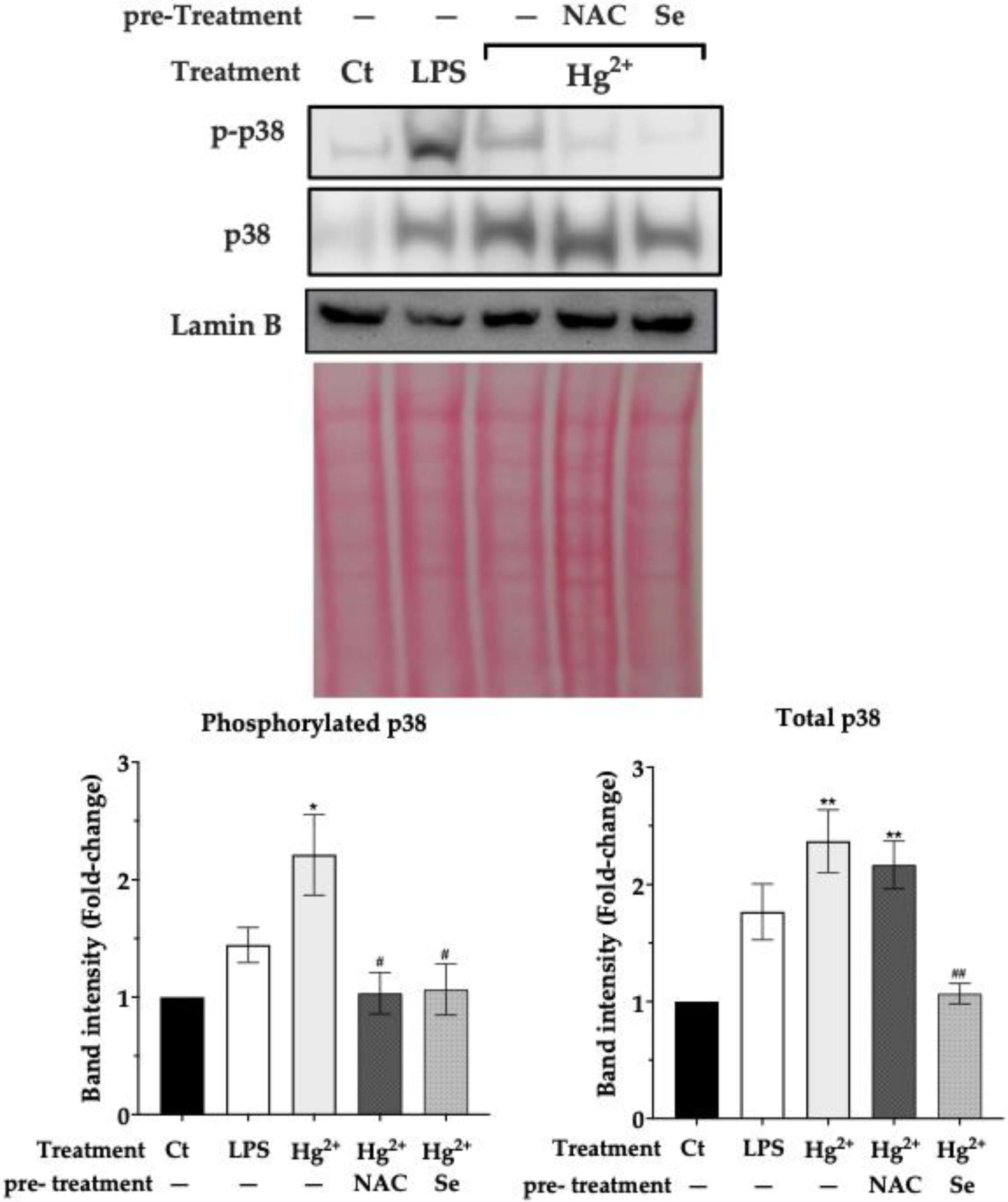 Toxics 10 00433 g004
