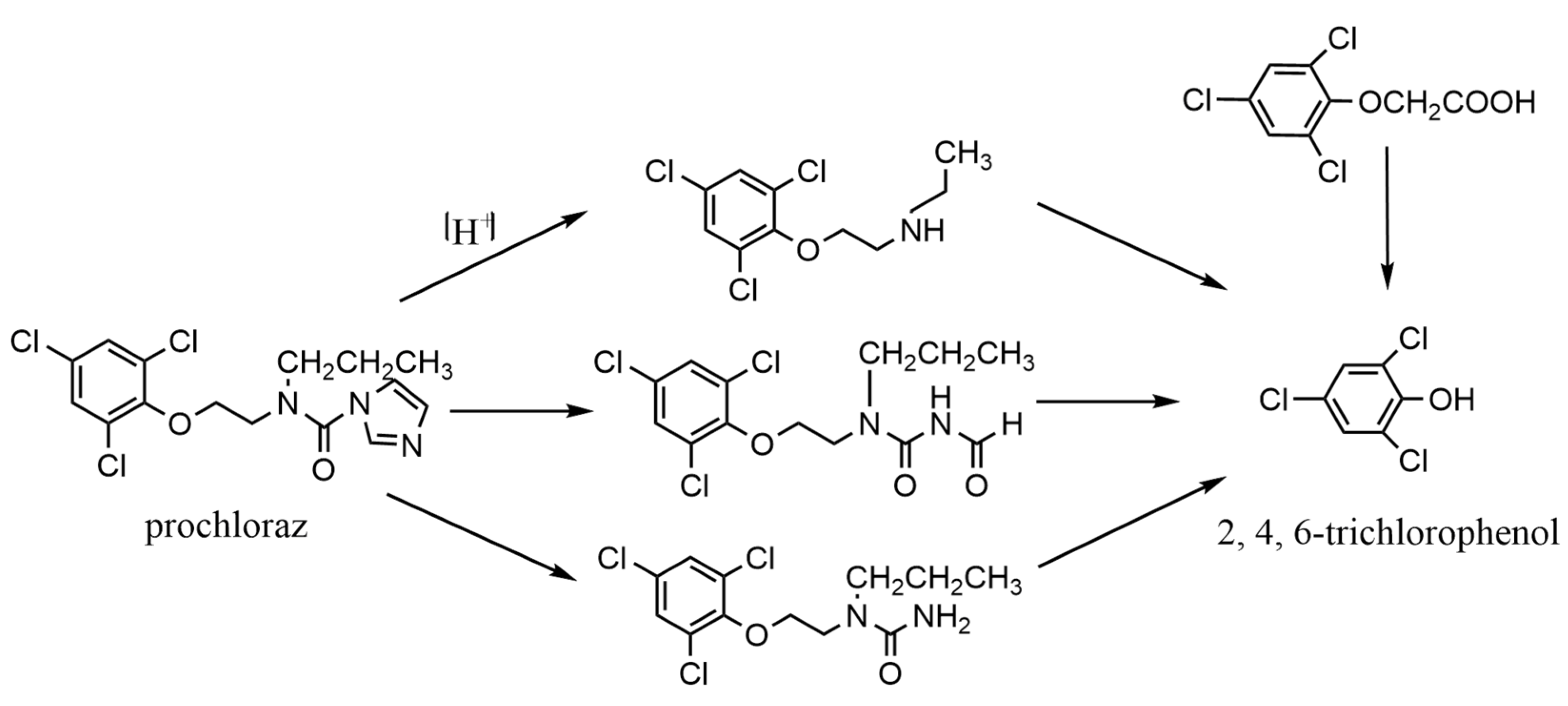 Toxics 10 00435 g001 550