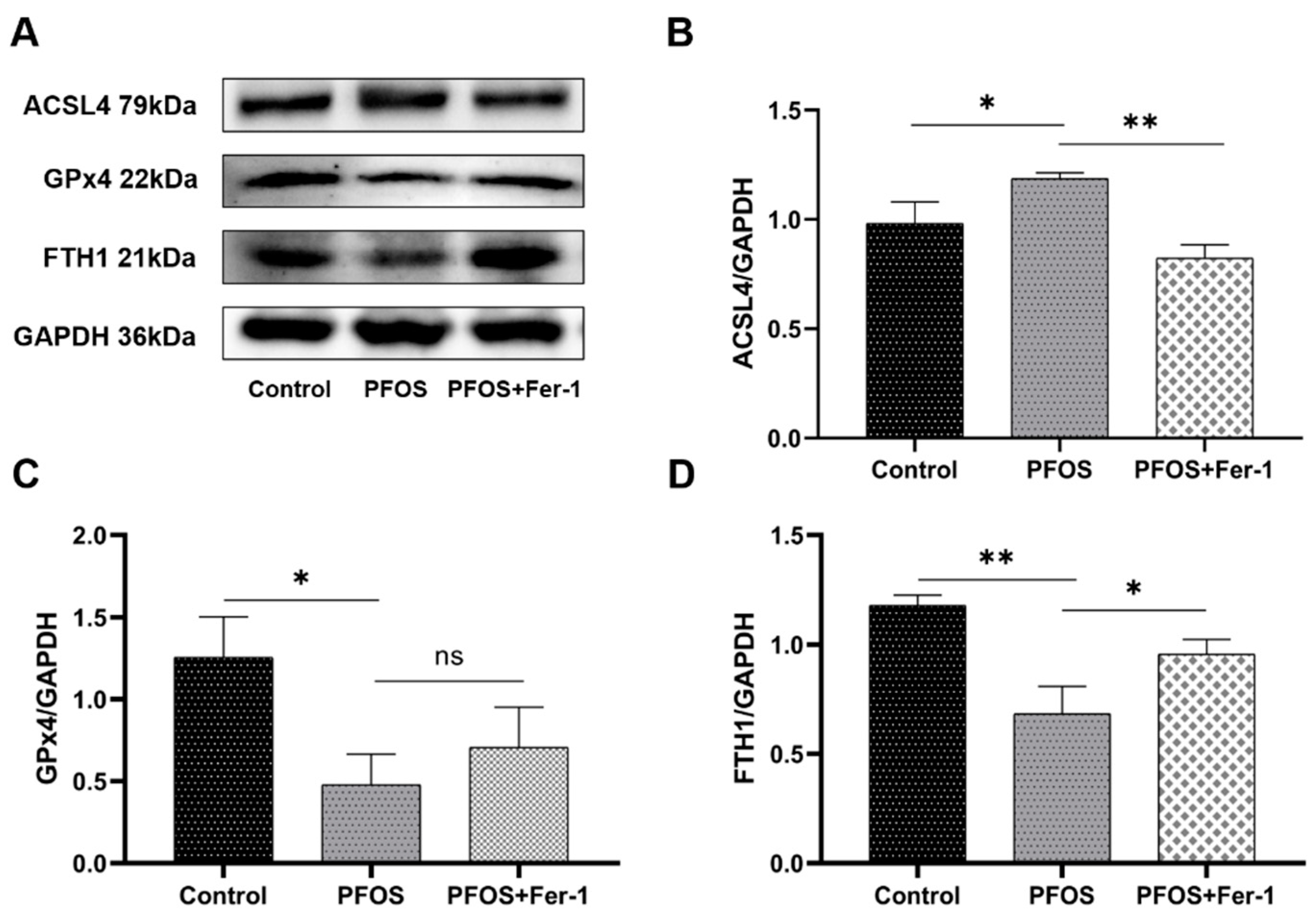 Toxics 10 00436 g007 550