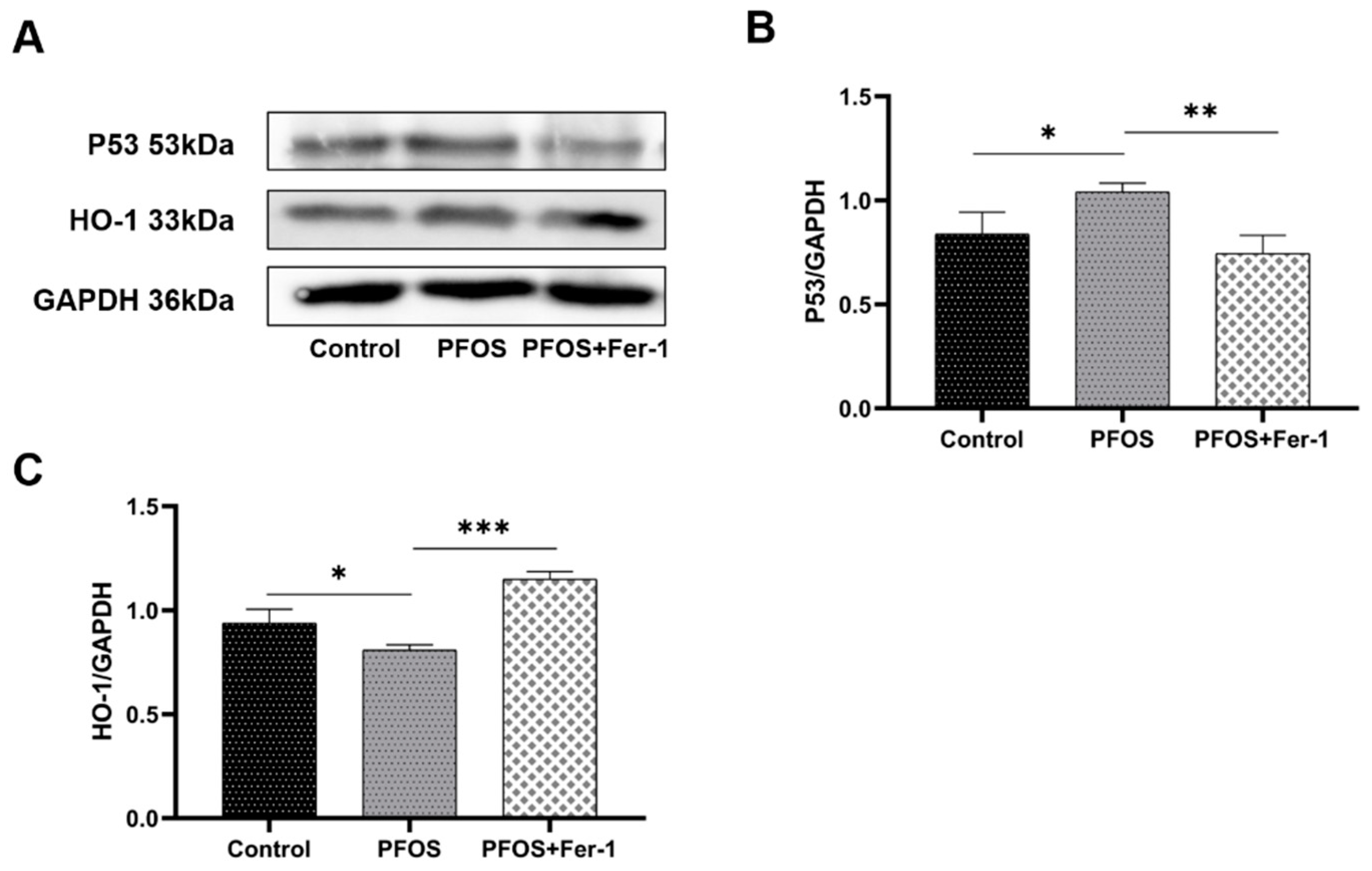 Toxics 10 00436 g009 550