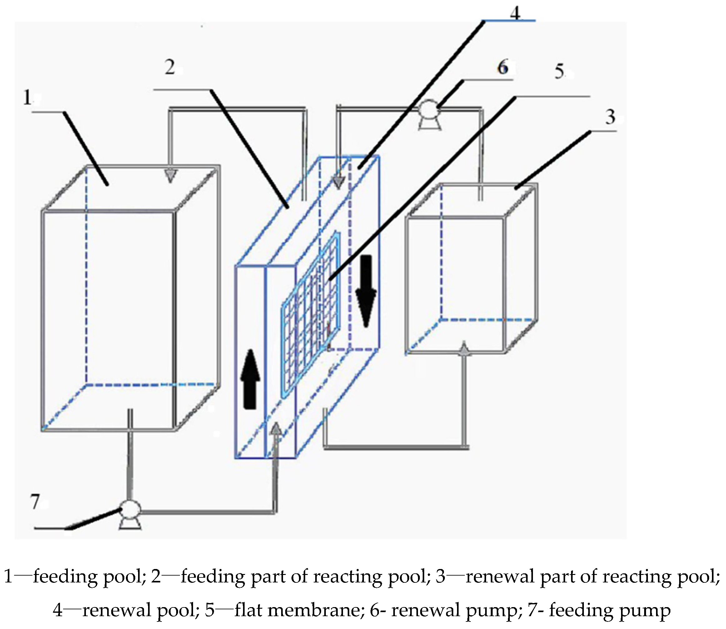 Toxics 10 00438 g001 550