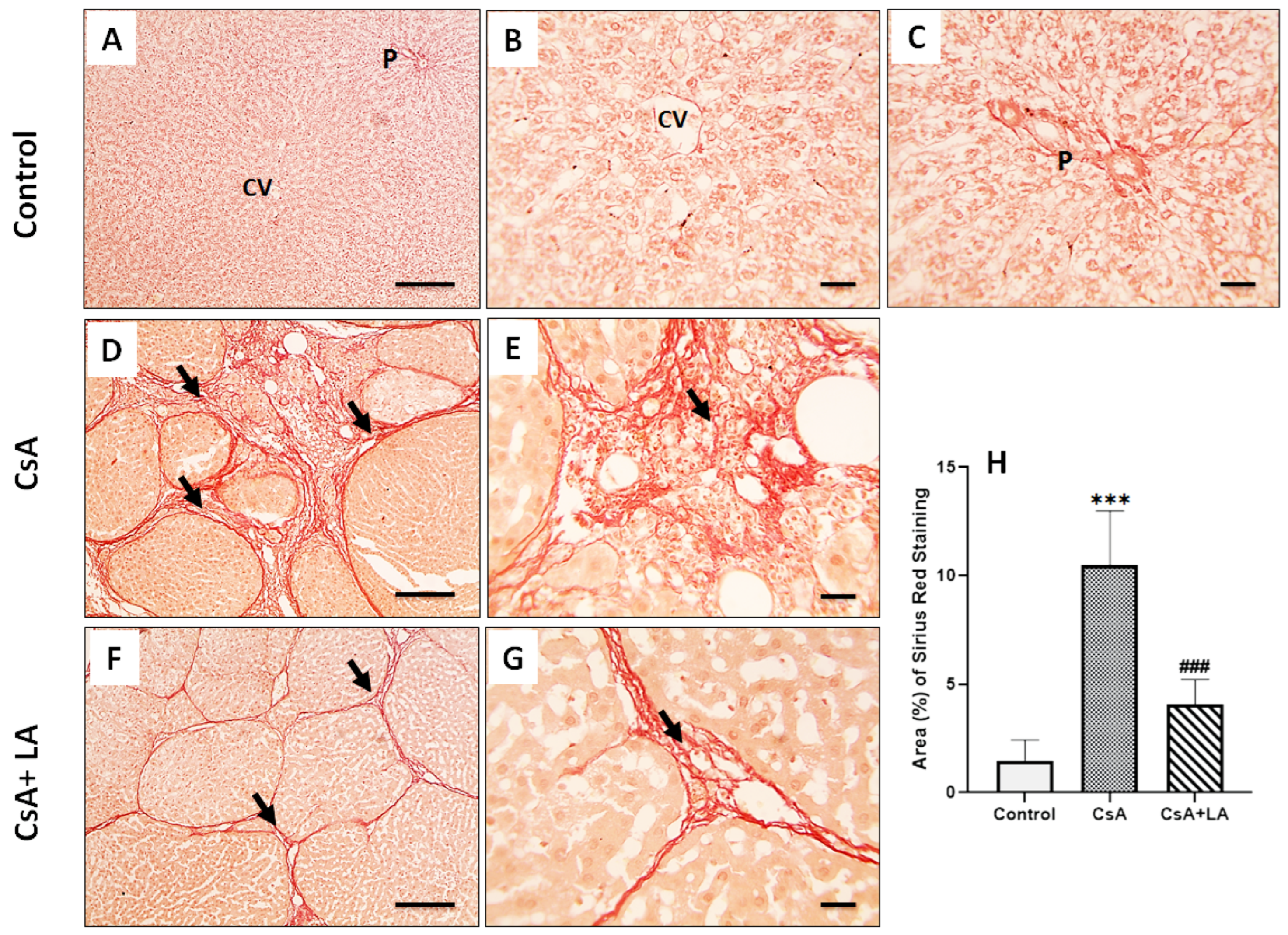 Toxics 10 00442 g002 Toxics 10 00442 g002