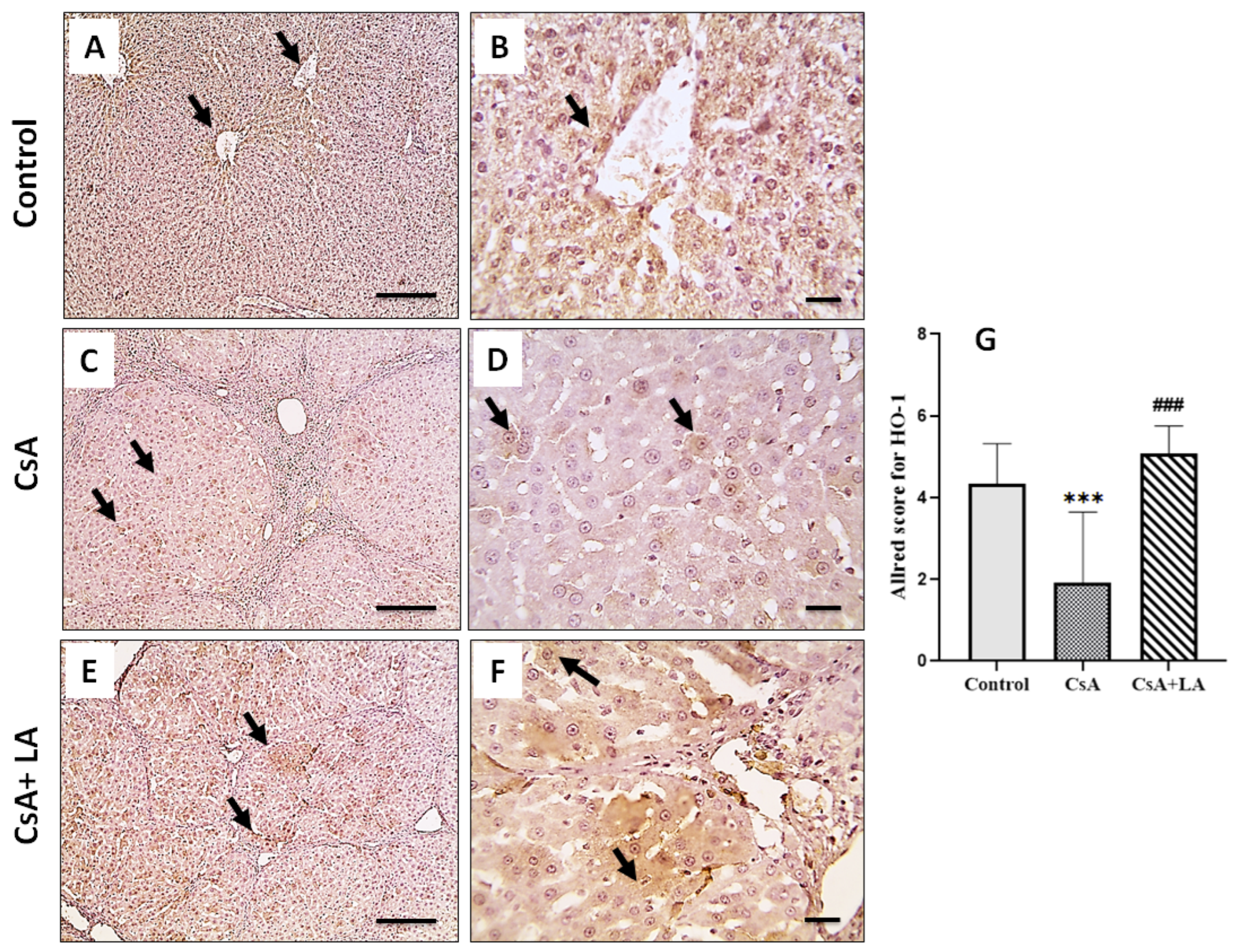 Toxics 10 00442 g003 Toxics 10 00442 g003