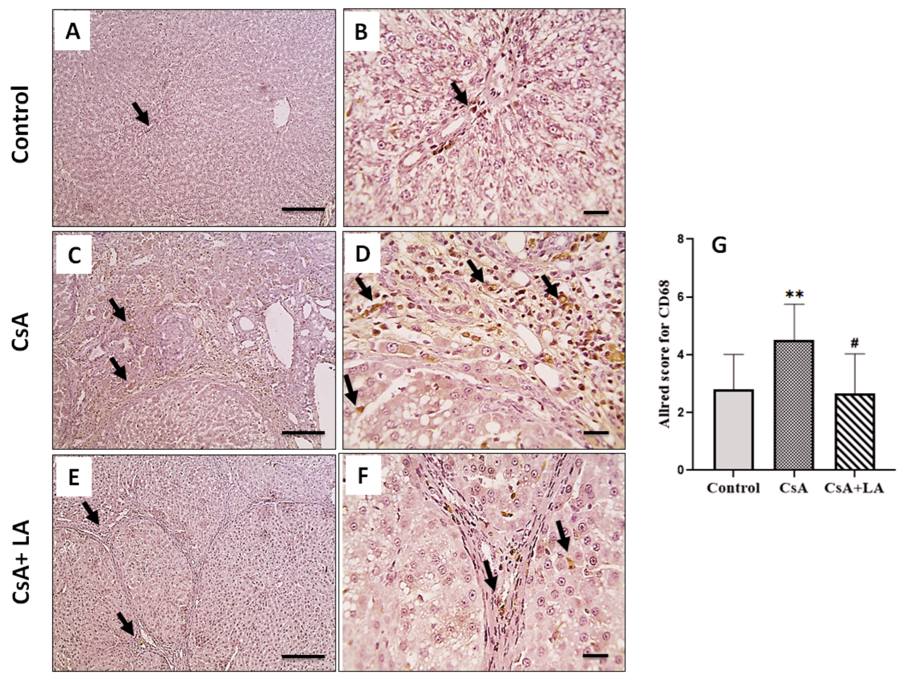 Toxics 10 00442 g004 Toxics 10 00442 g004