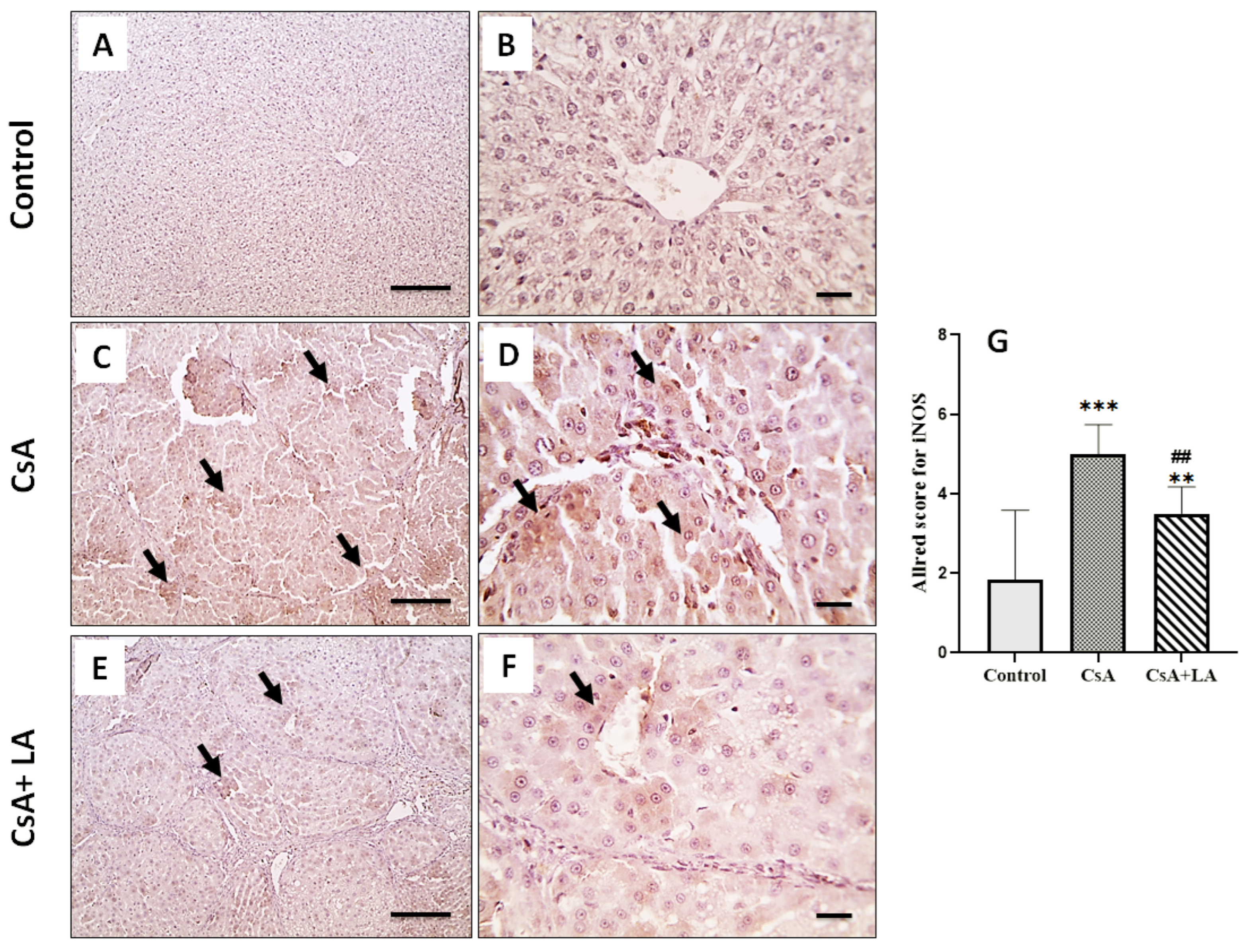 Toxics 10 00442 g006 Toxics 10 00442 g006