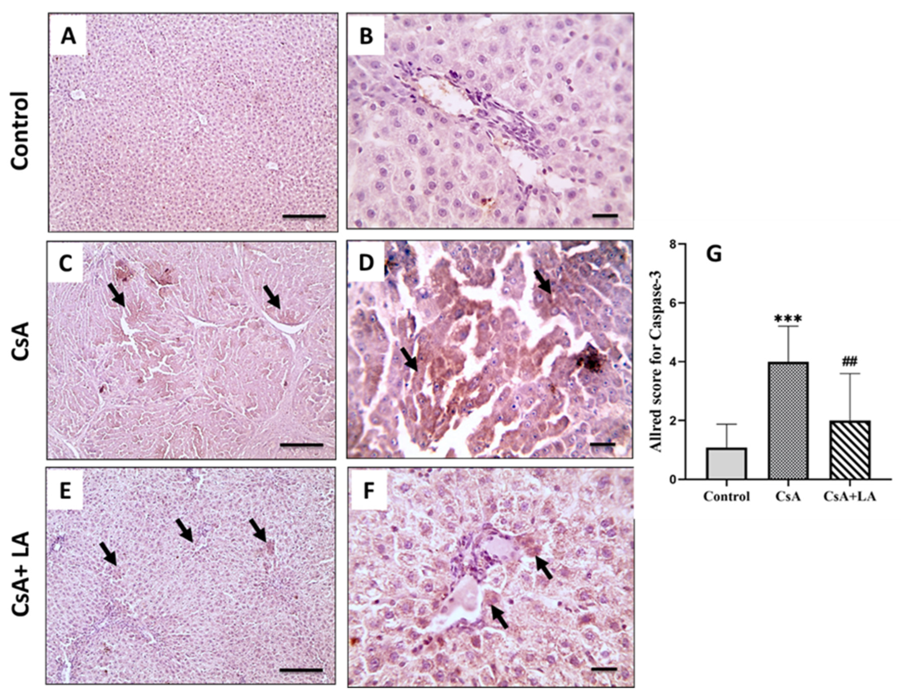 Toxics 10 00442 g008 Toxics 10 00442 g008
