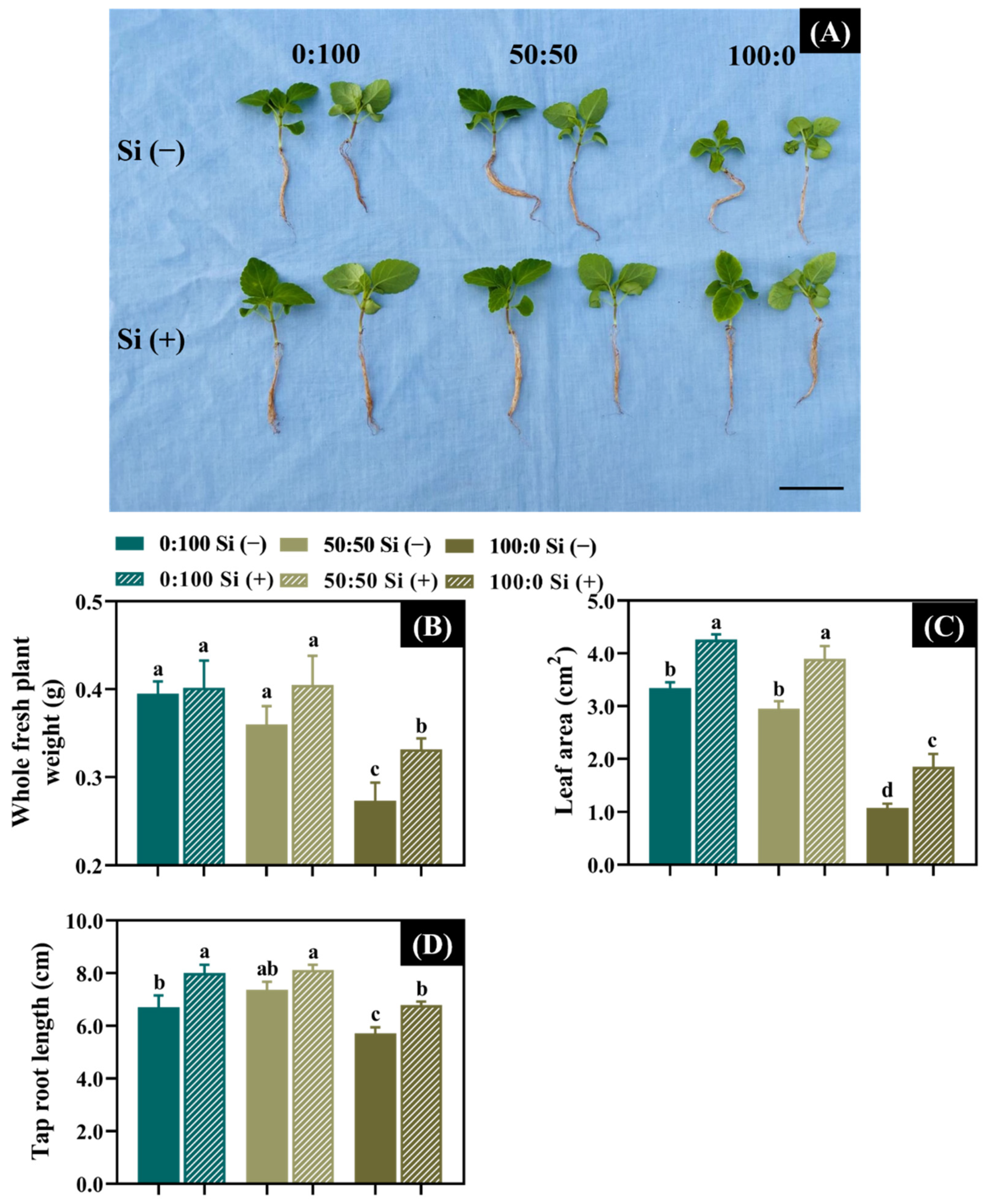 Toxics 10 00446 g001