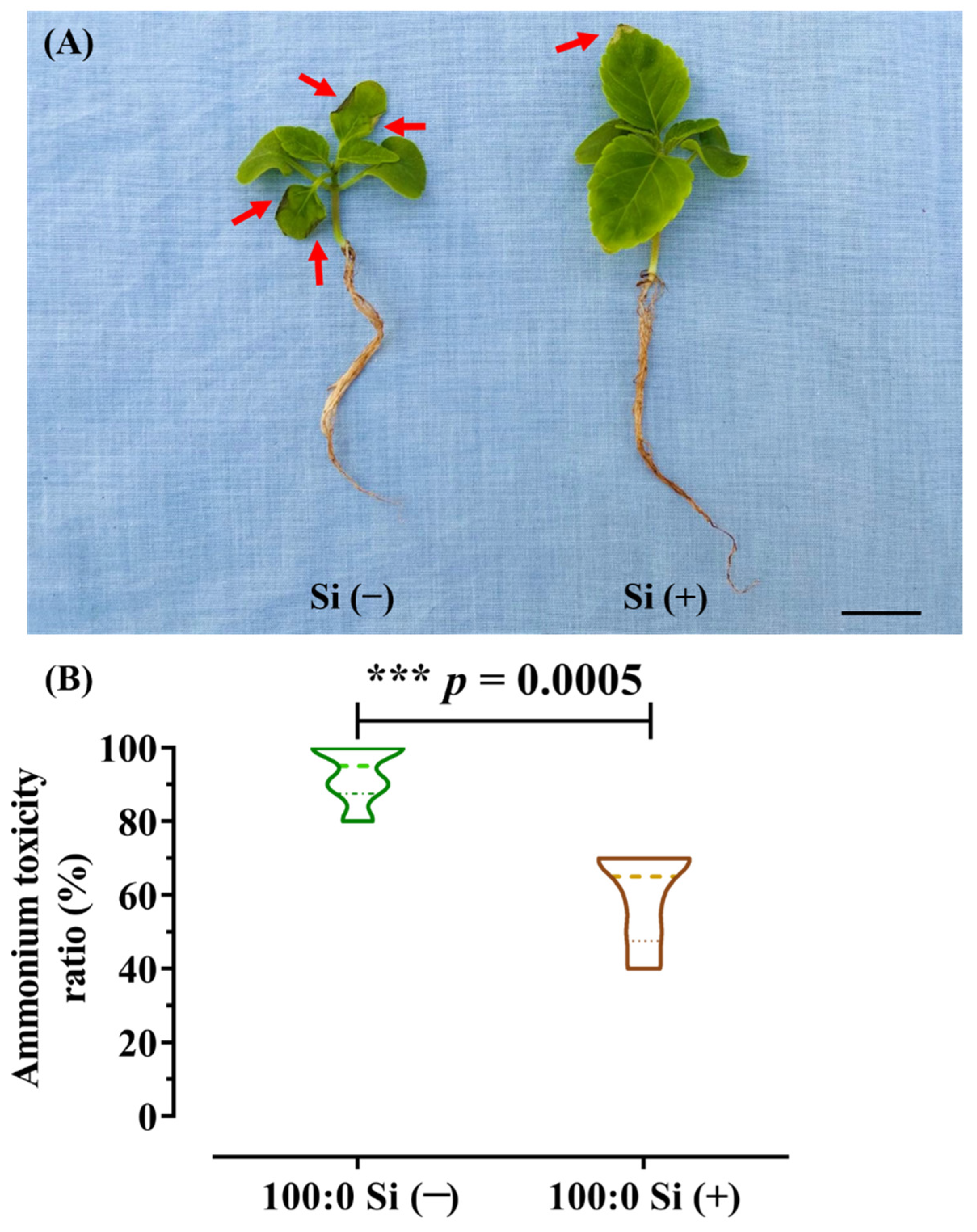 Toxics 10 00446 g002