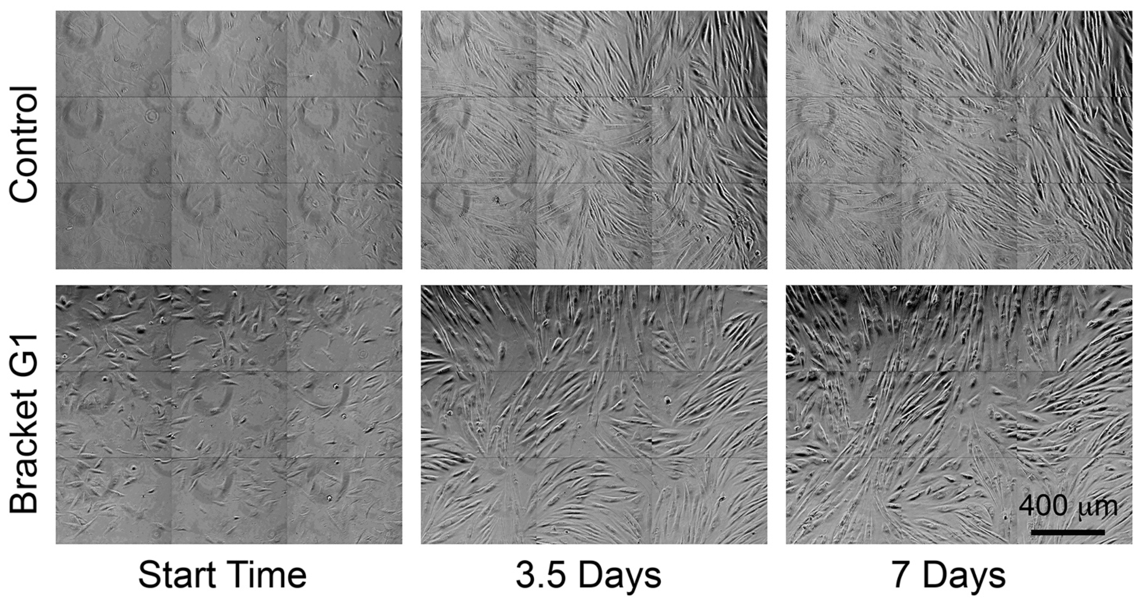 Toxics 10 00460 g001