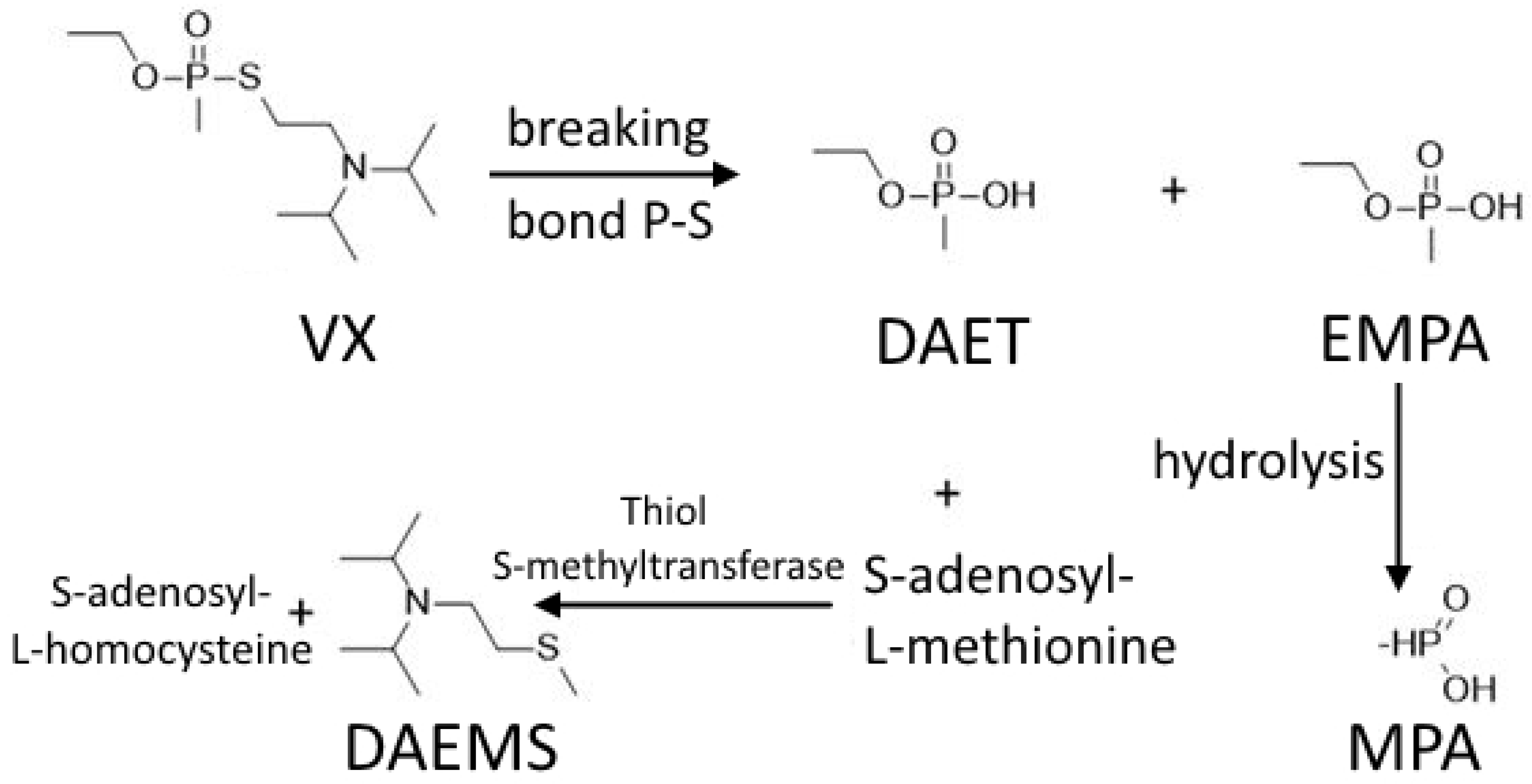 Toxics 10 00468 g003