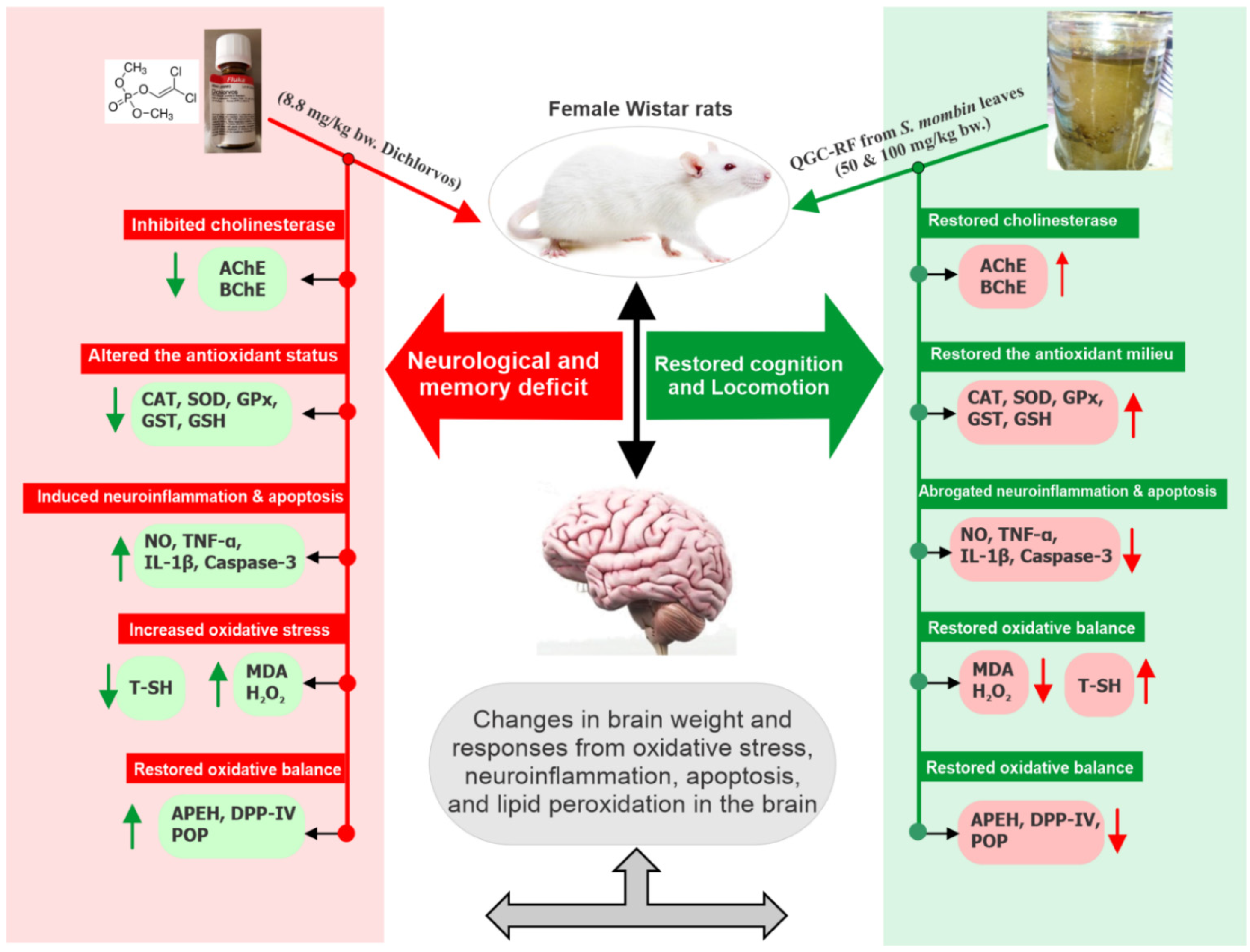 Toxics 10 00477 sch001