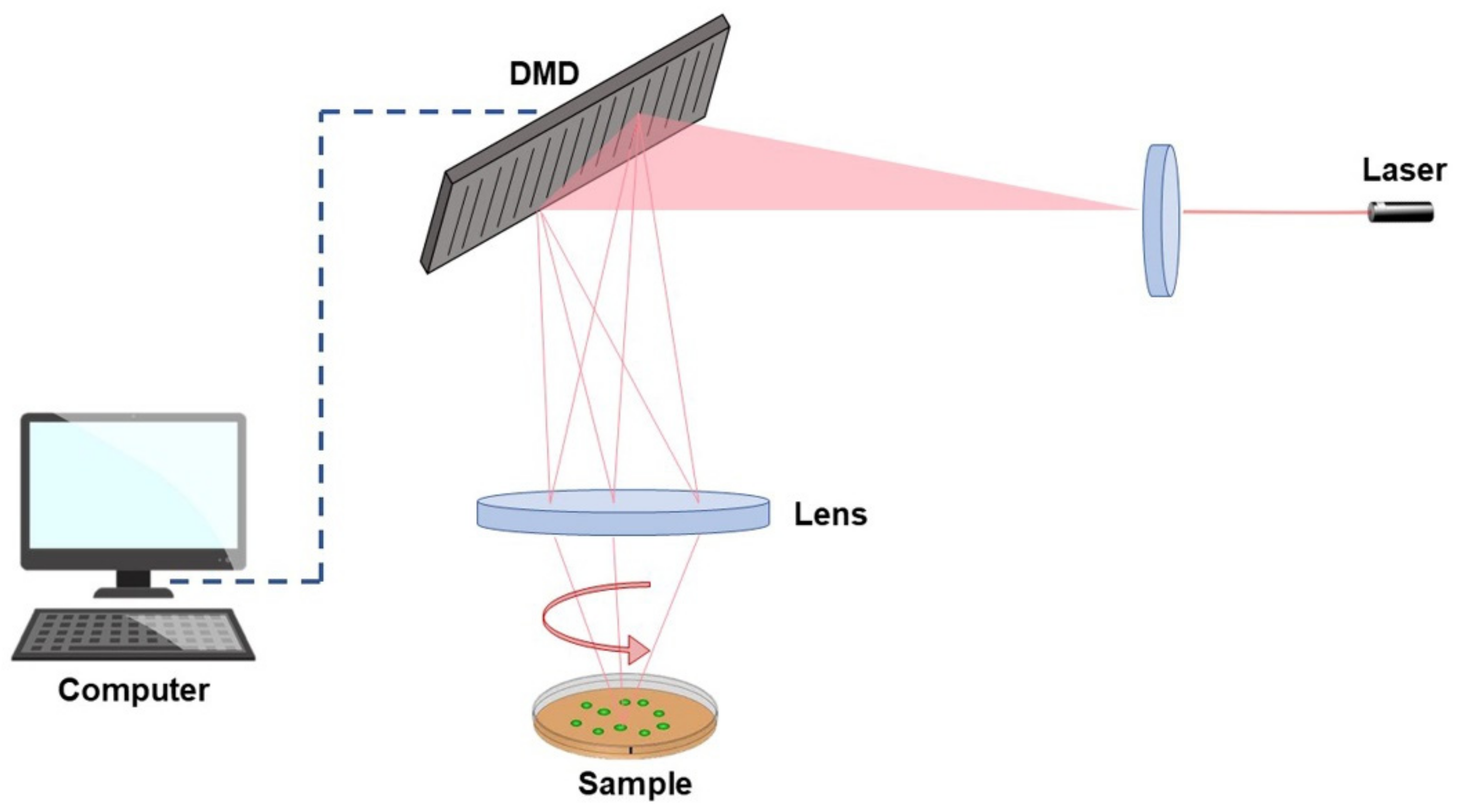 Toxics 10 00479 g001