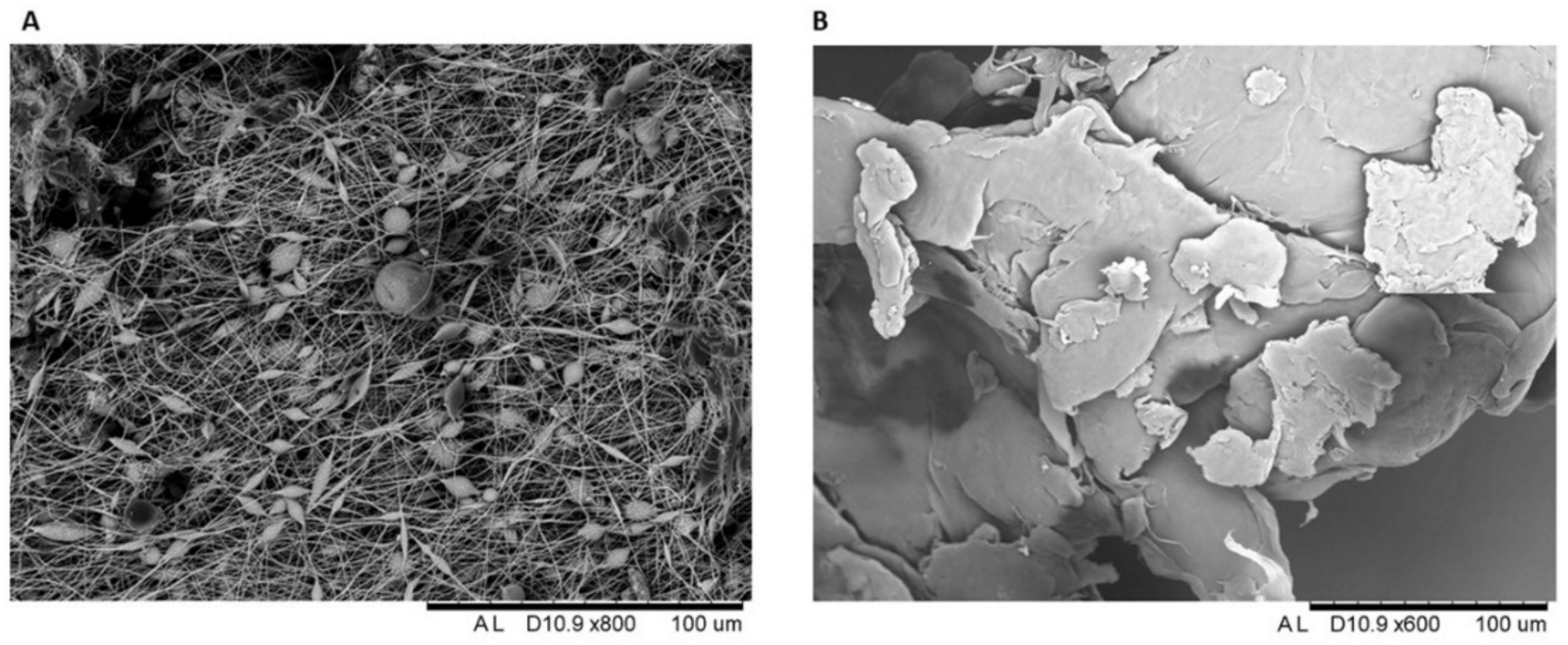 Toxics 10 00479 g003