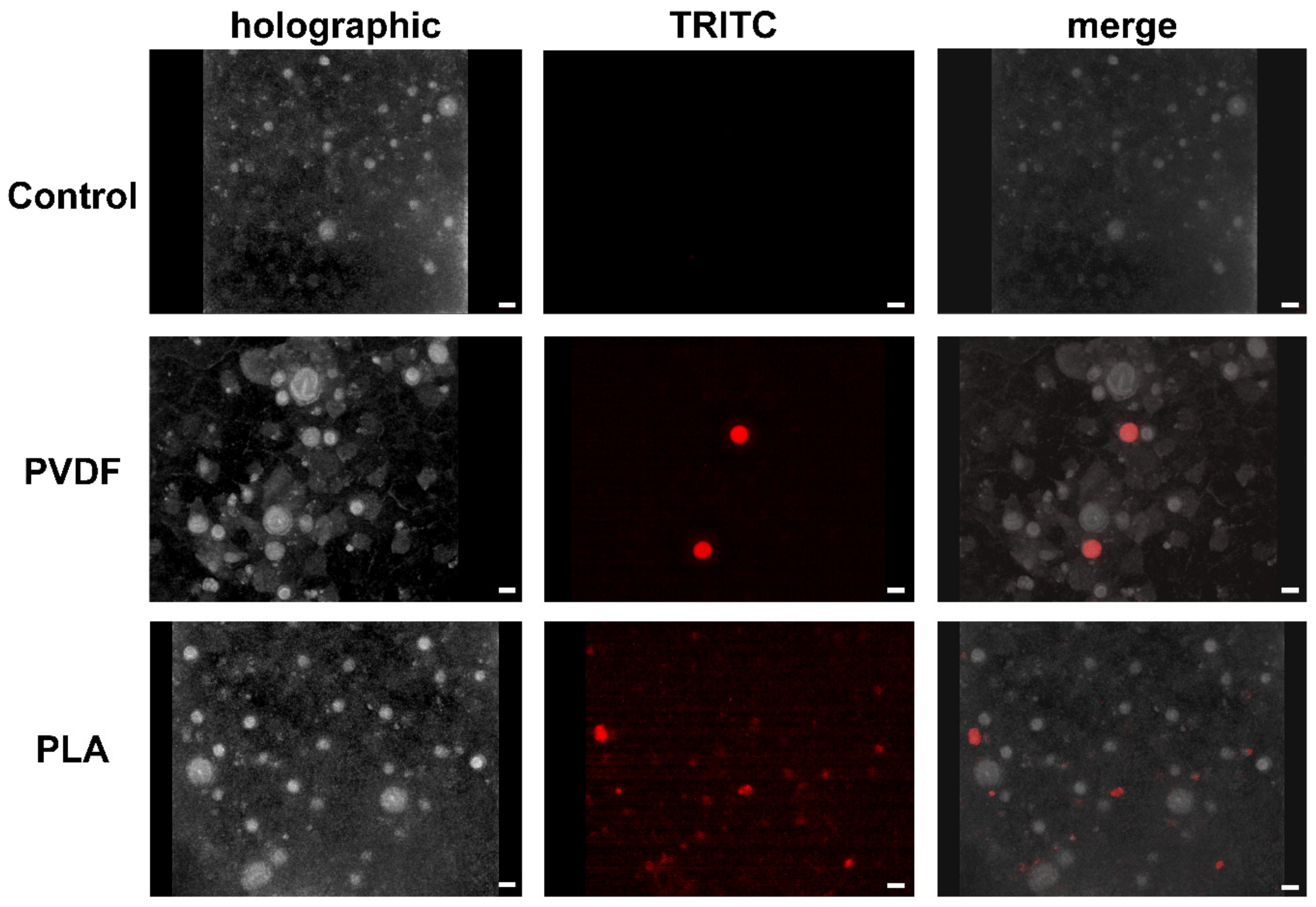 Toxics 10 00479 g005