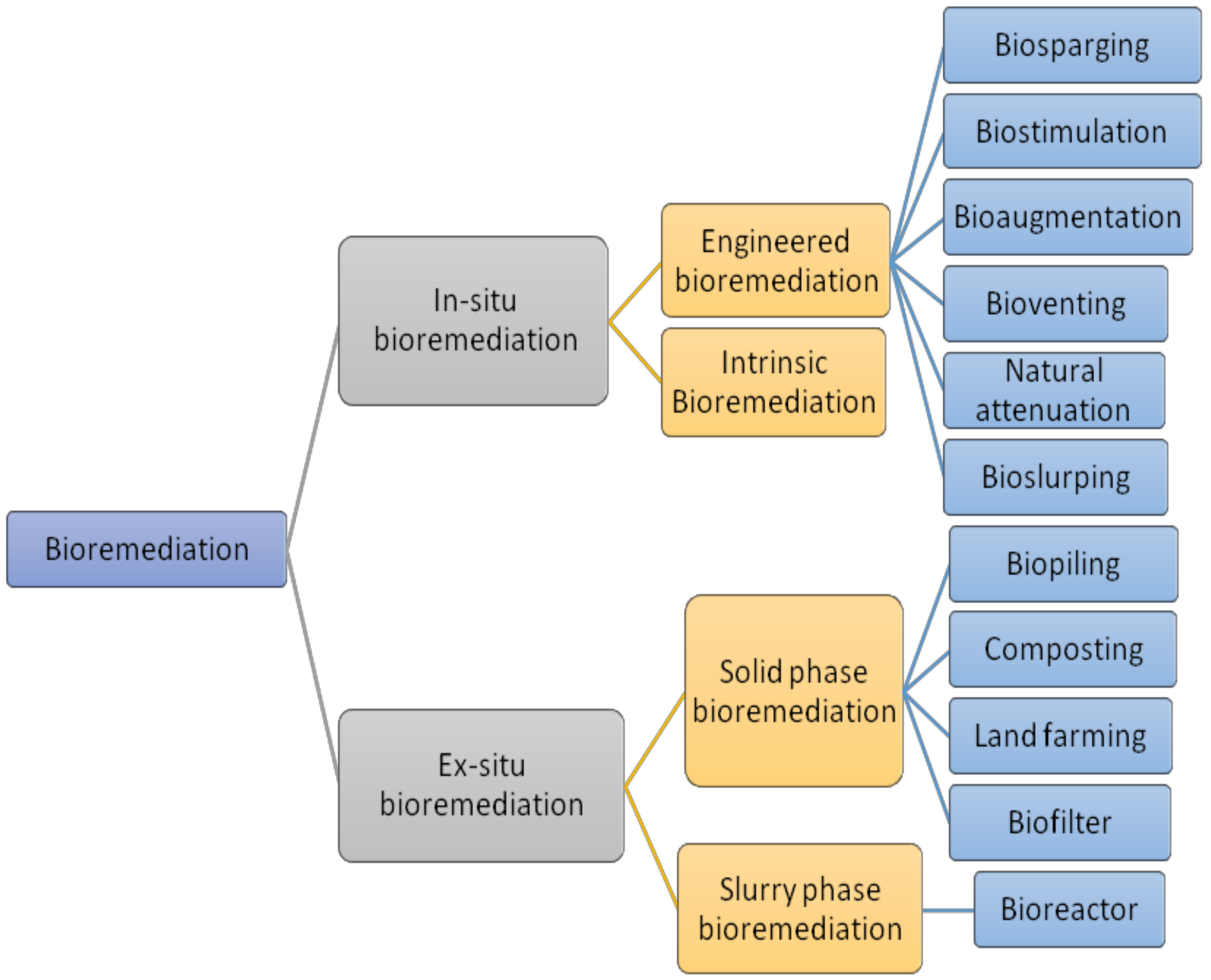 What is Bioremediation?