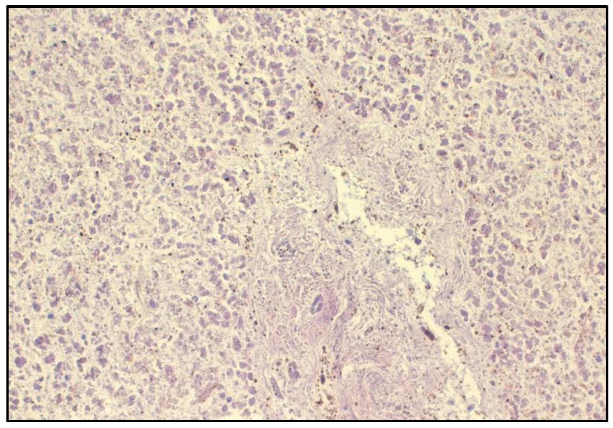 Toxics 10 00486 g002