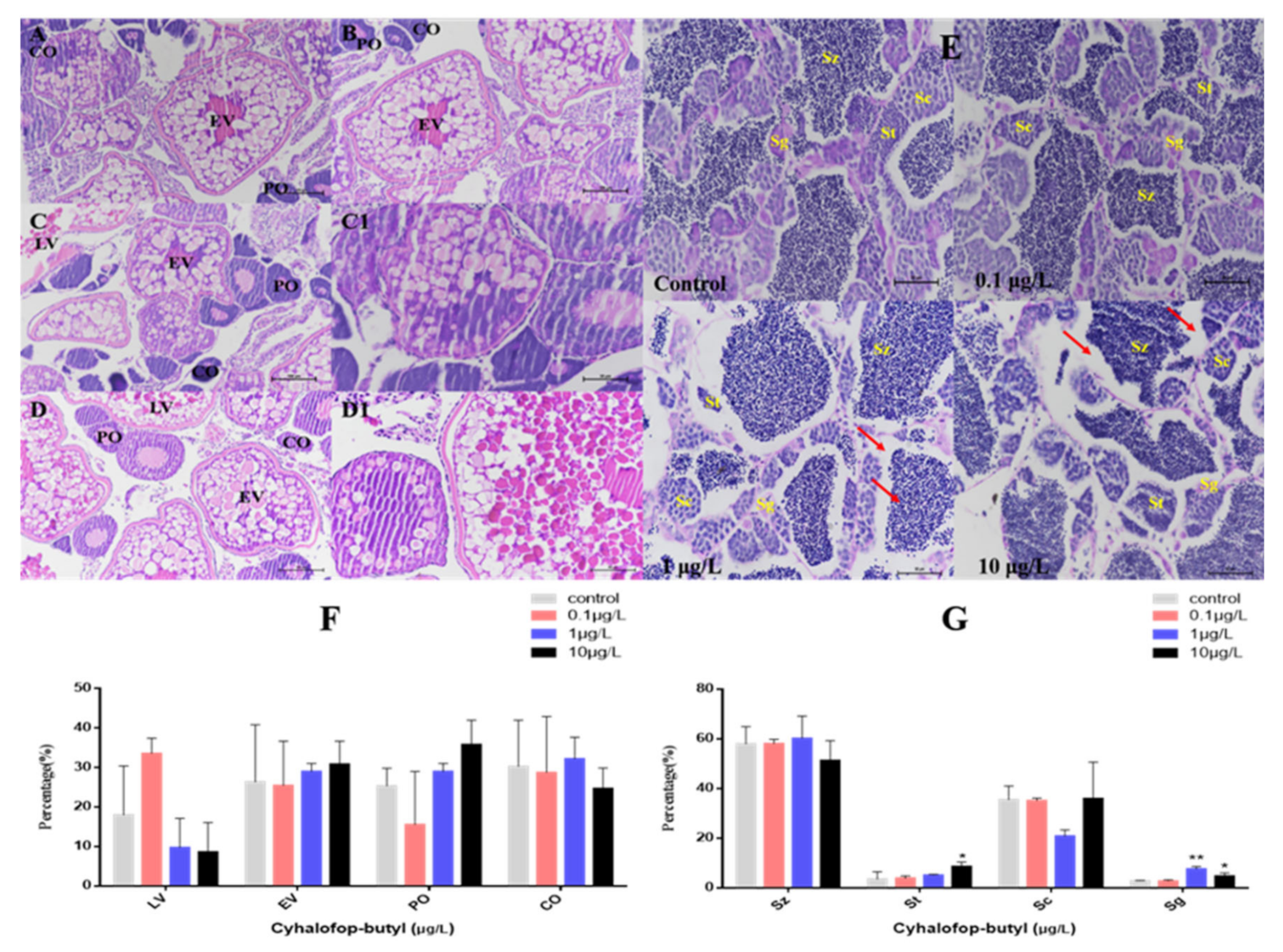 Toxics 10 00495 g003