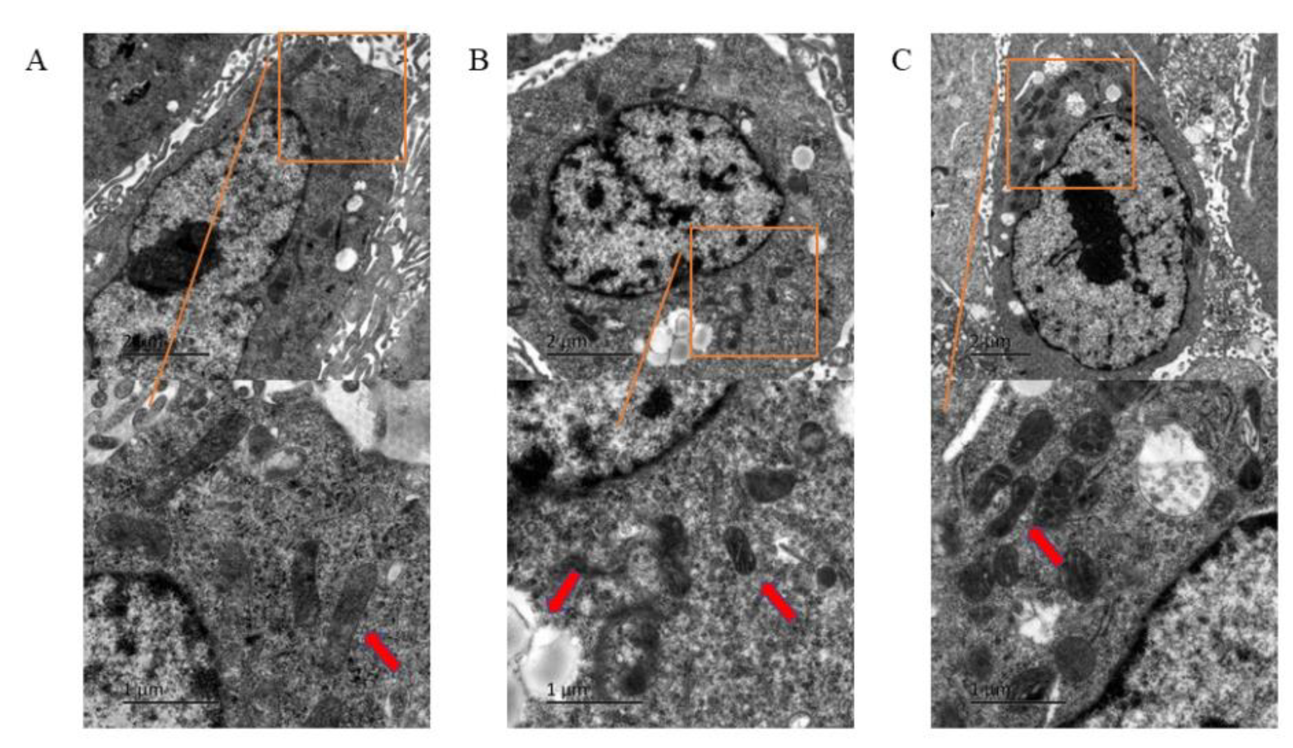 Toxics 10 00503 g002