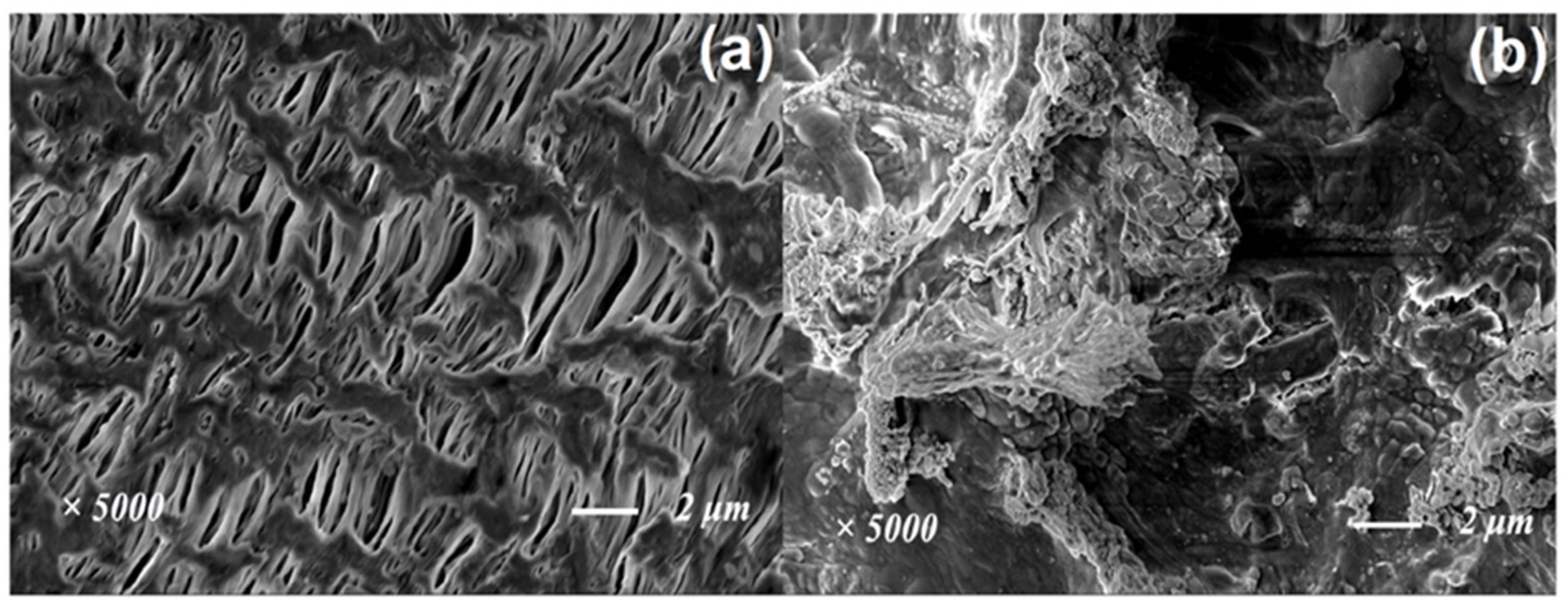 Toxics 10 00505 g011 550