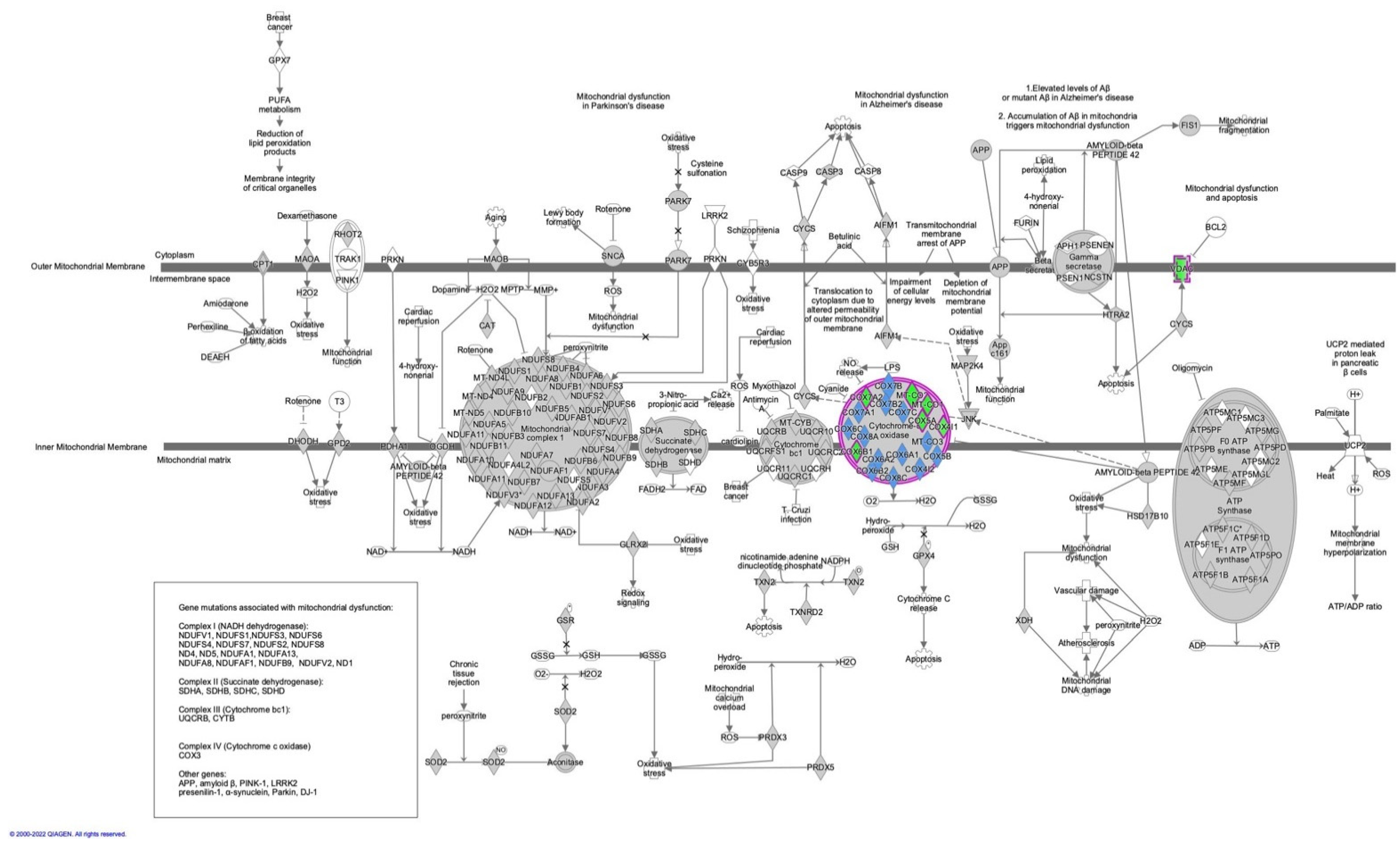 Toxics 10 00507 g009