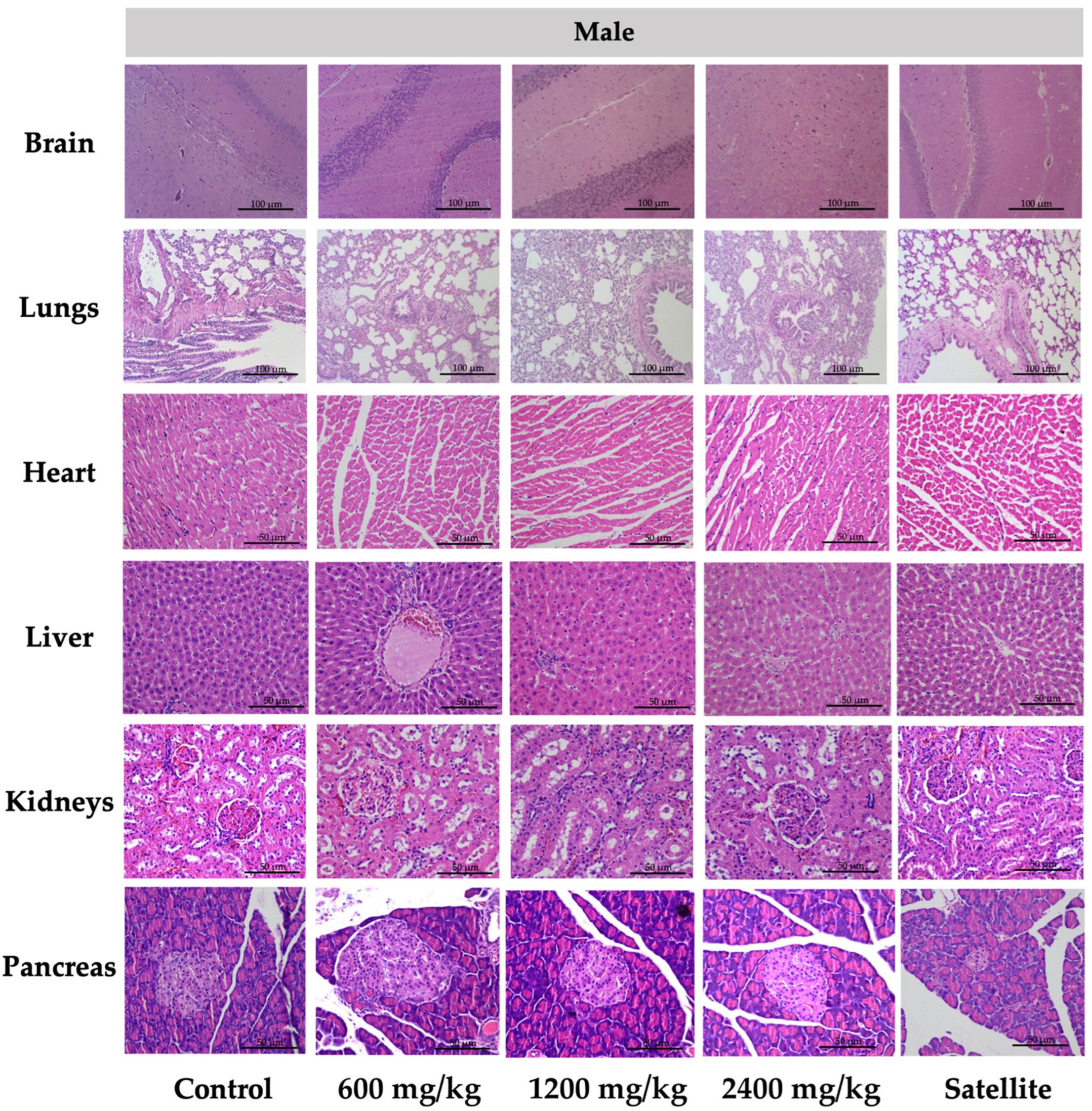 Toxics 10 00514 g003