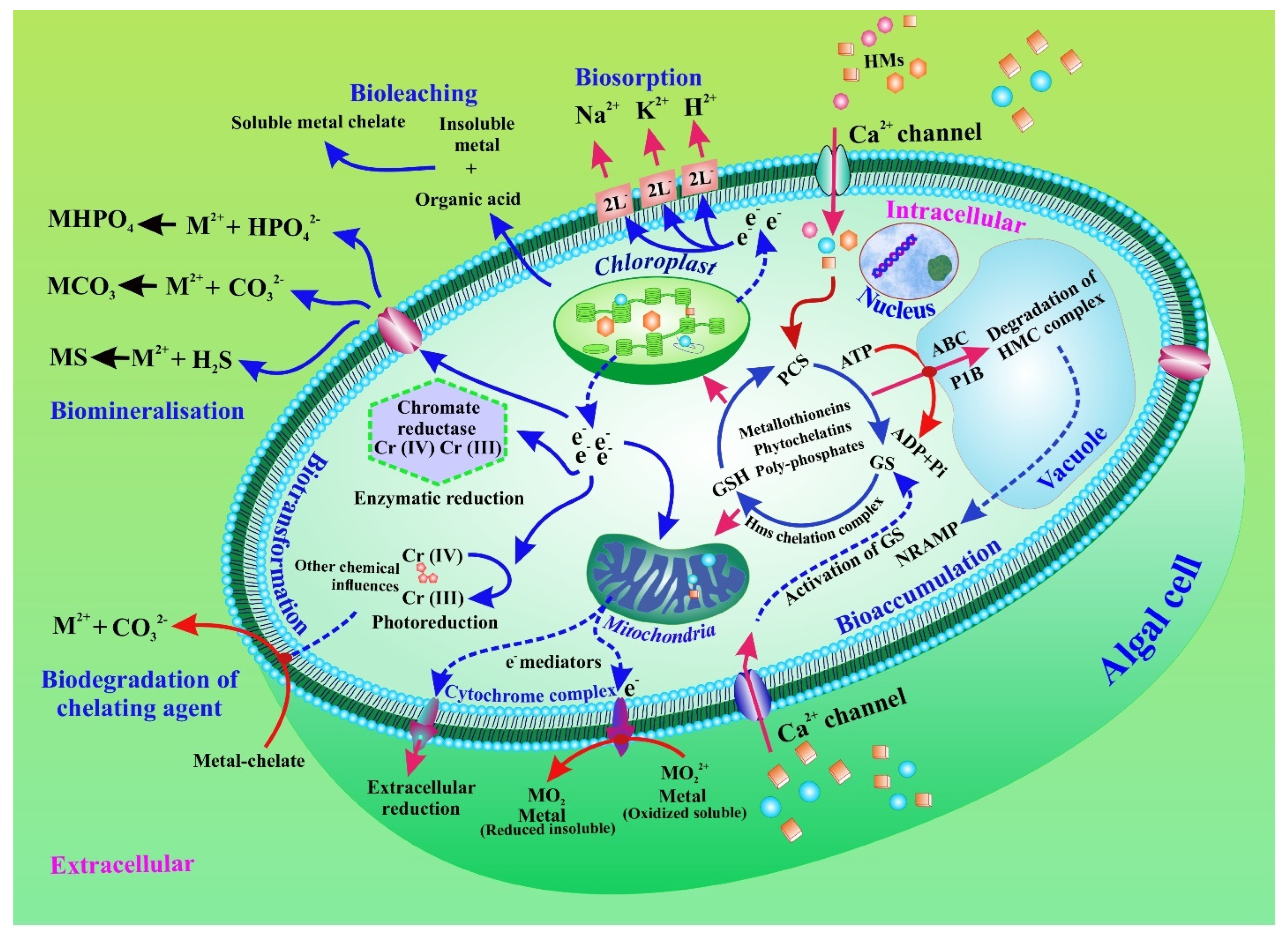 Toxics 10 00525 g002