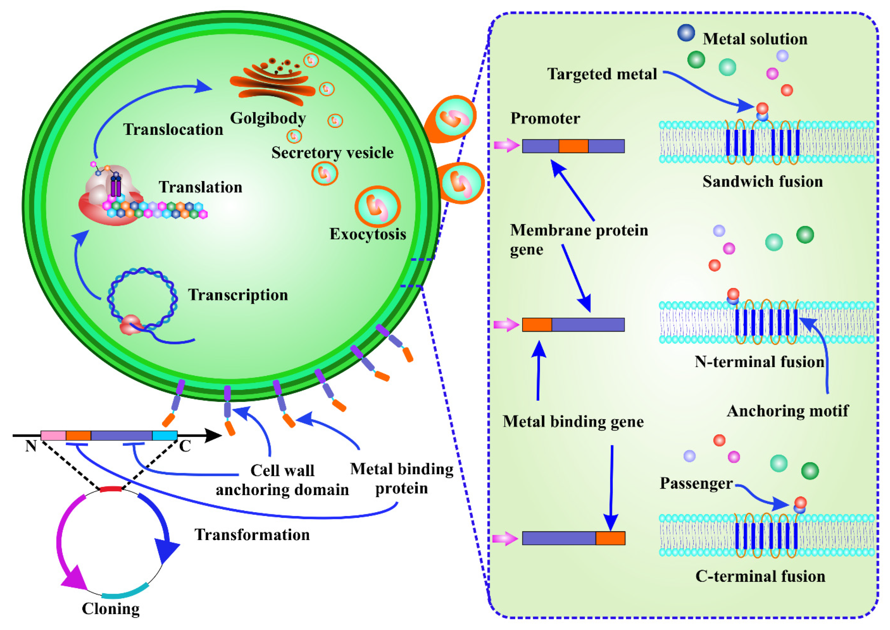 Toxics 10 00525 g003