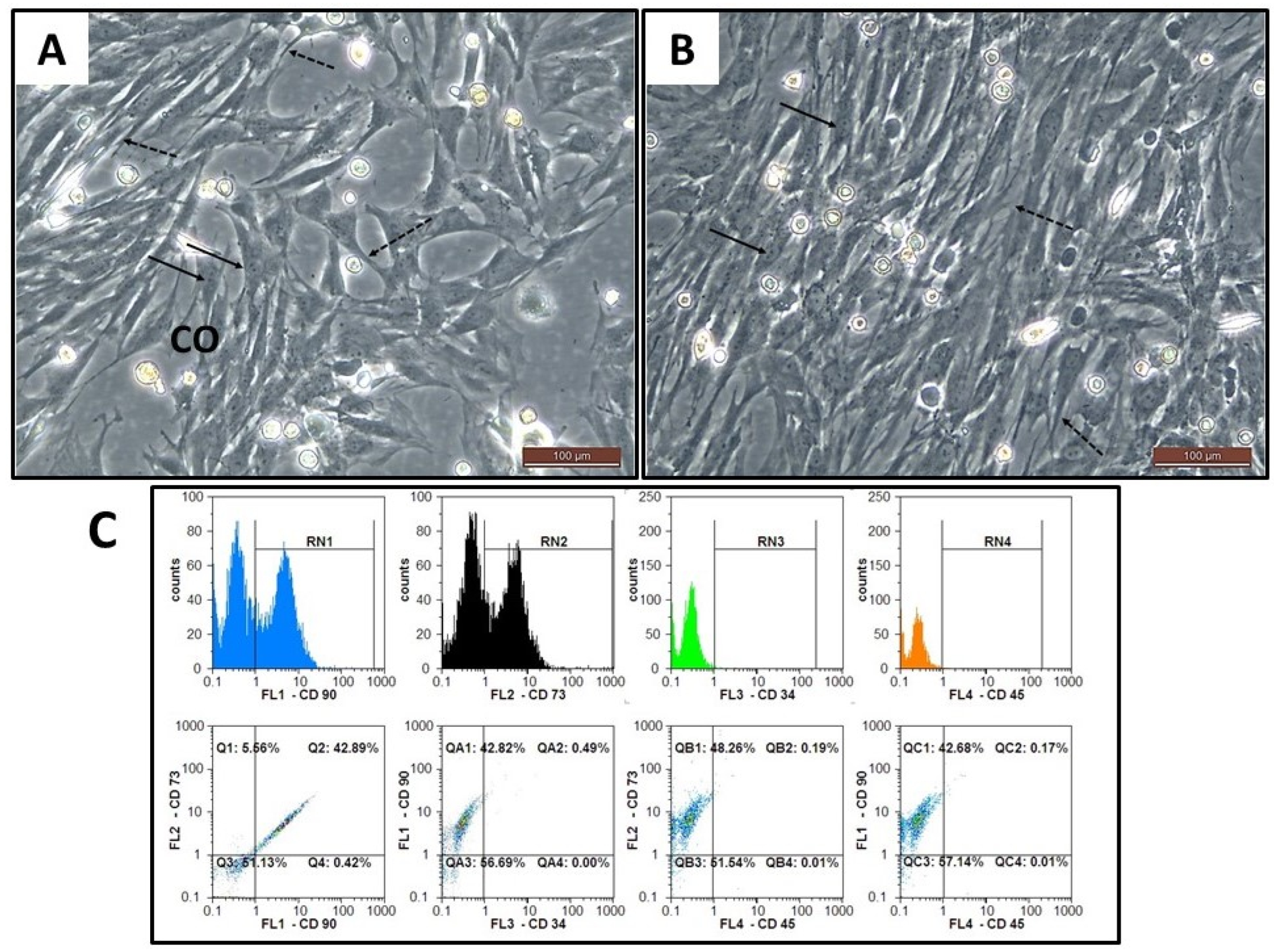 Toxics 10 00526 g001 Toxics 10 00526 g001