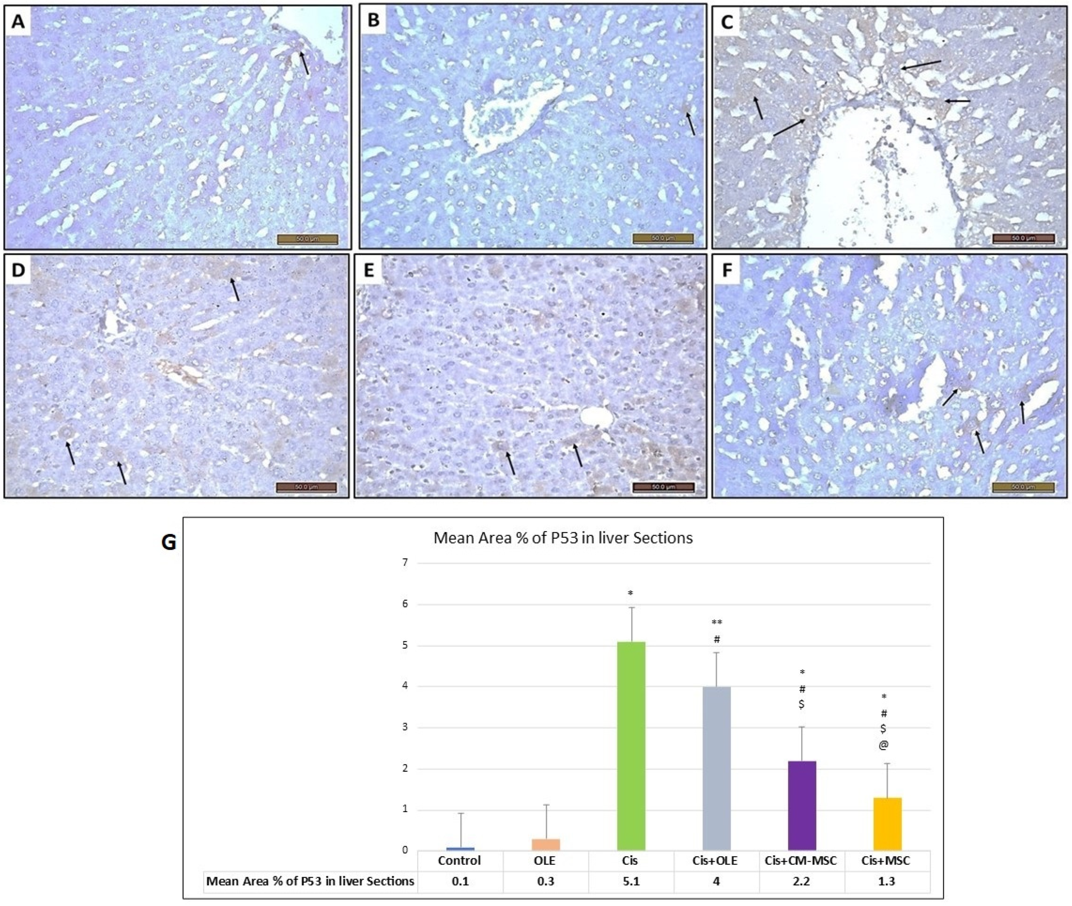 Toxics 10 00526 g005 Toxics 10 00526 g005