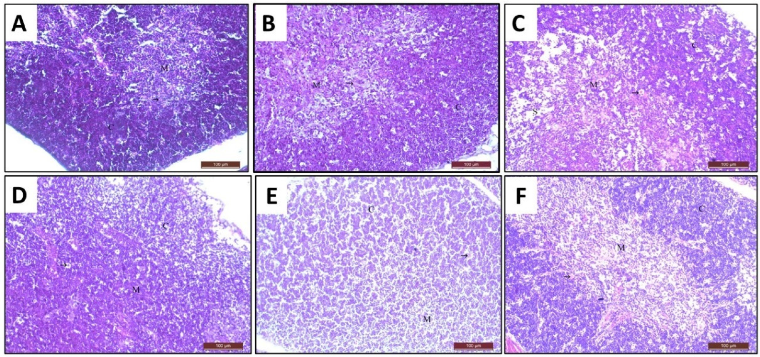 Toxics 10 00526 g009 Toxics 10 00526 g009
