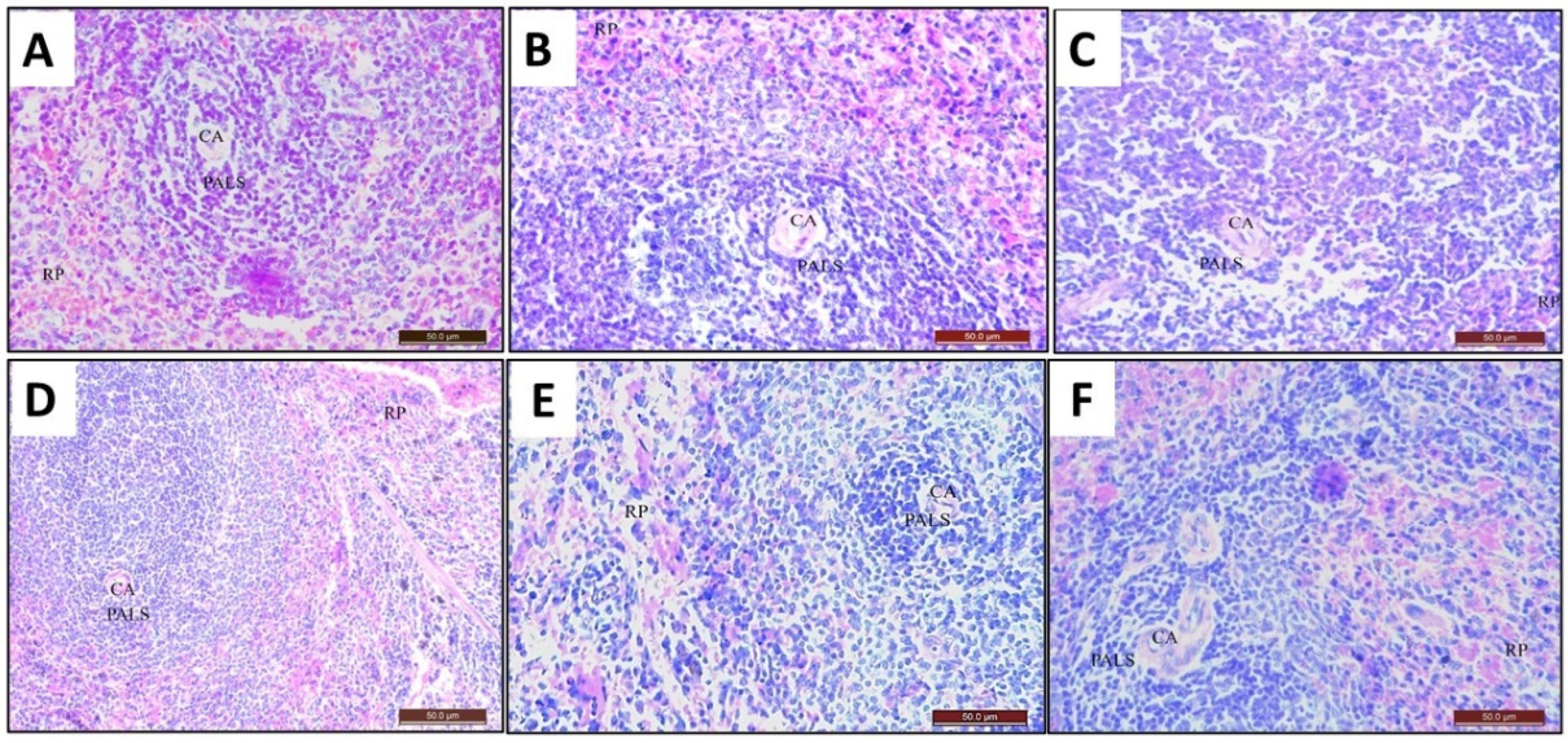 Toxics 10 00526 g013 Toxics 10 00526 g013
