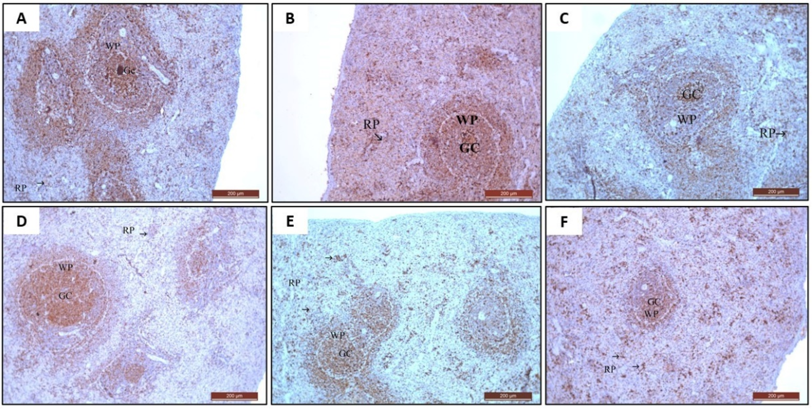 Toxics 10 00526 g014 Toxics 10 00526 g014