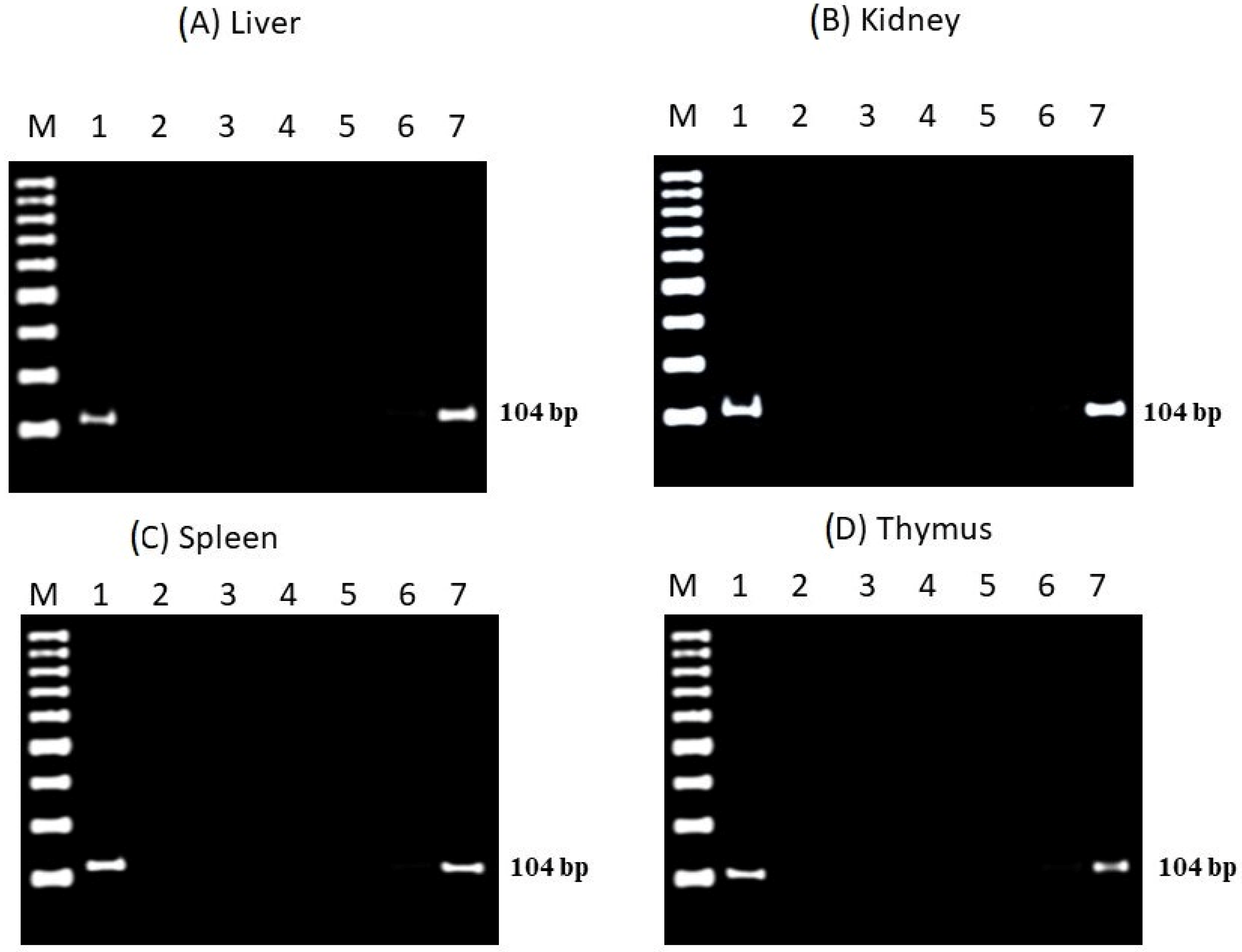 Toxics 10 00526 g016 Toxics 10 00526 g016