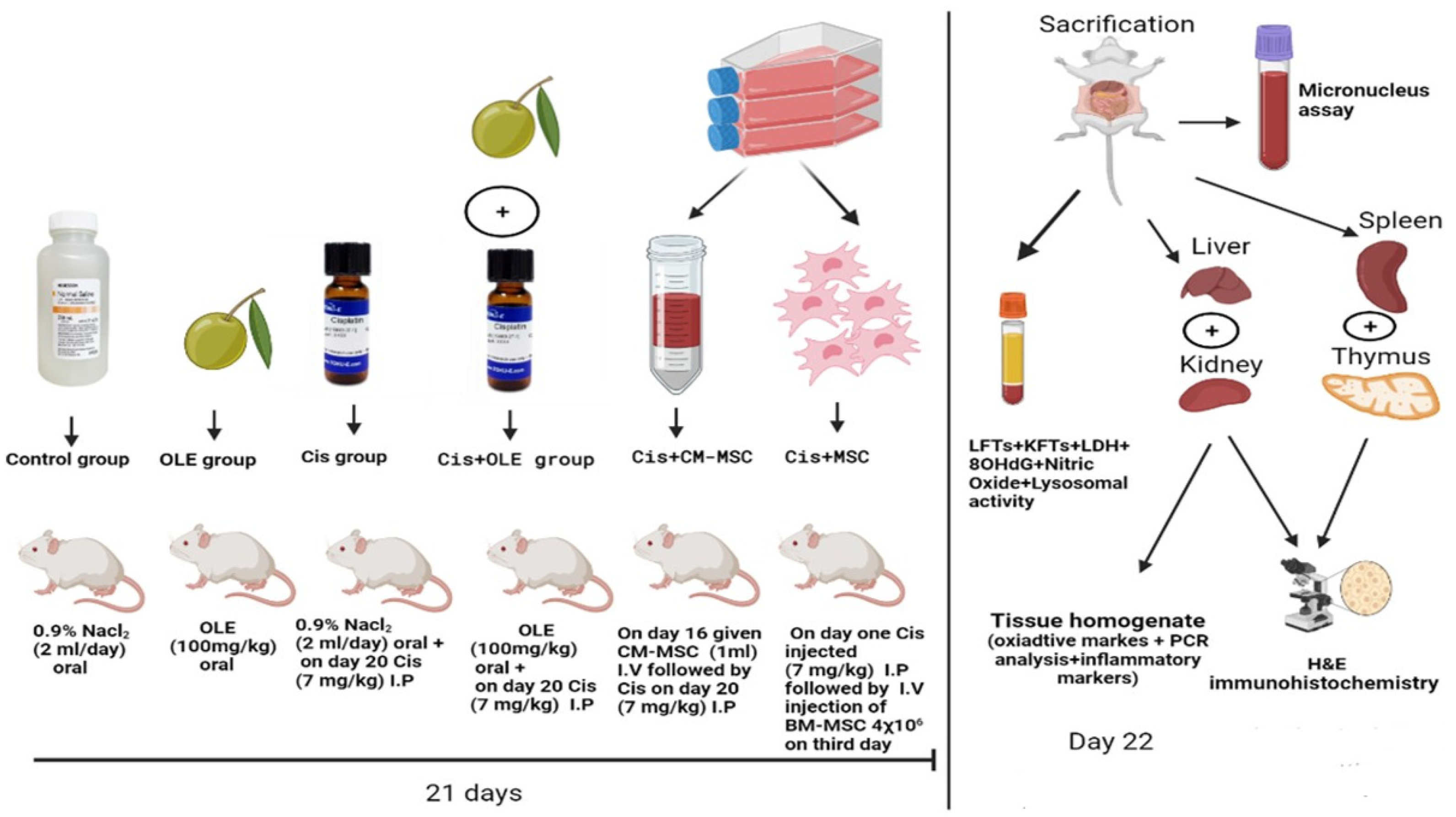 Toxics 10 00526 sch001 Toxics 10 00526 sch001