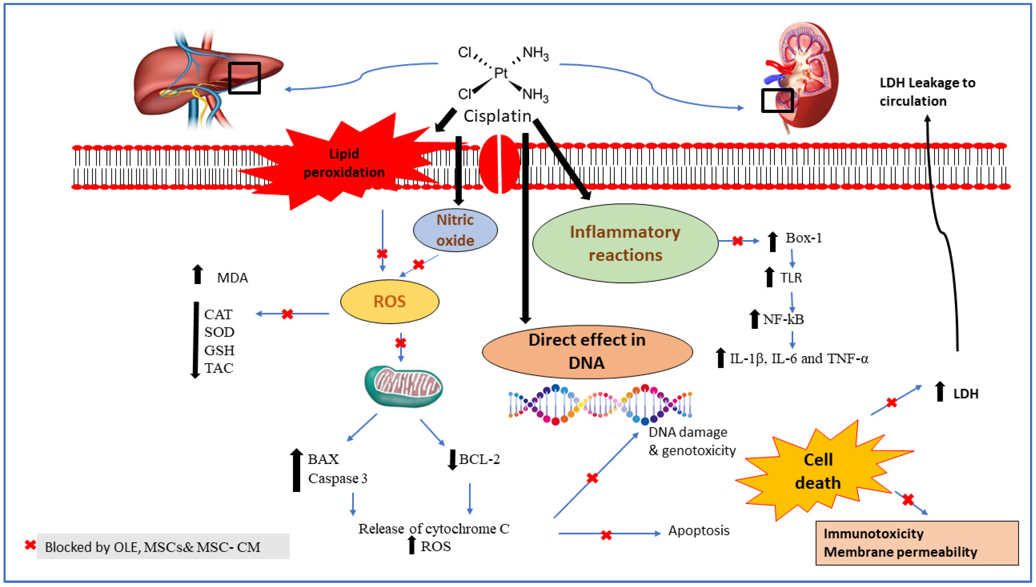 Toxics 10 00526 sch002 Toxics 10 00526 sch002