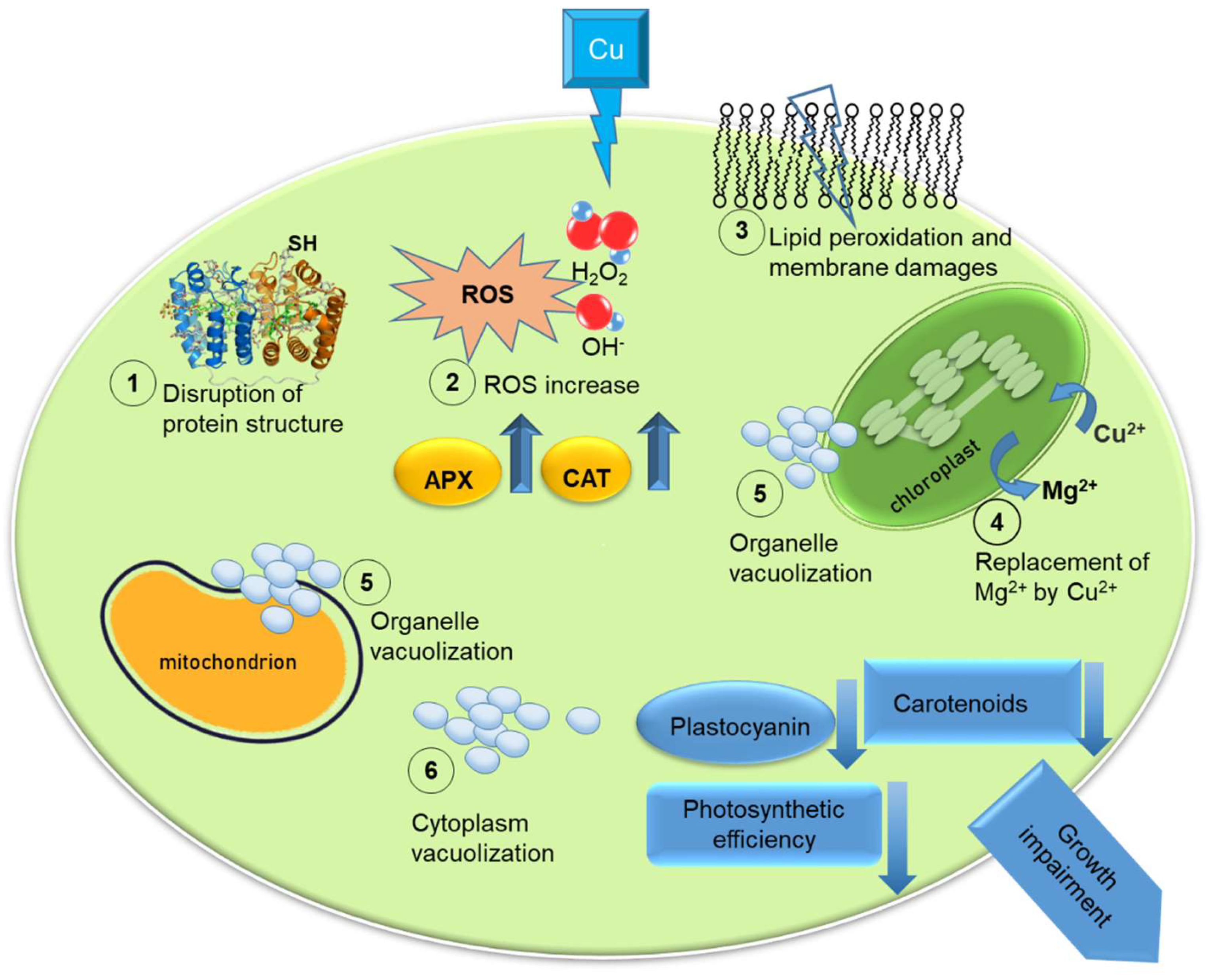 Toxics 10 00527 g001 550
