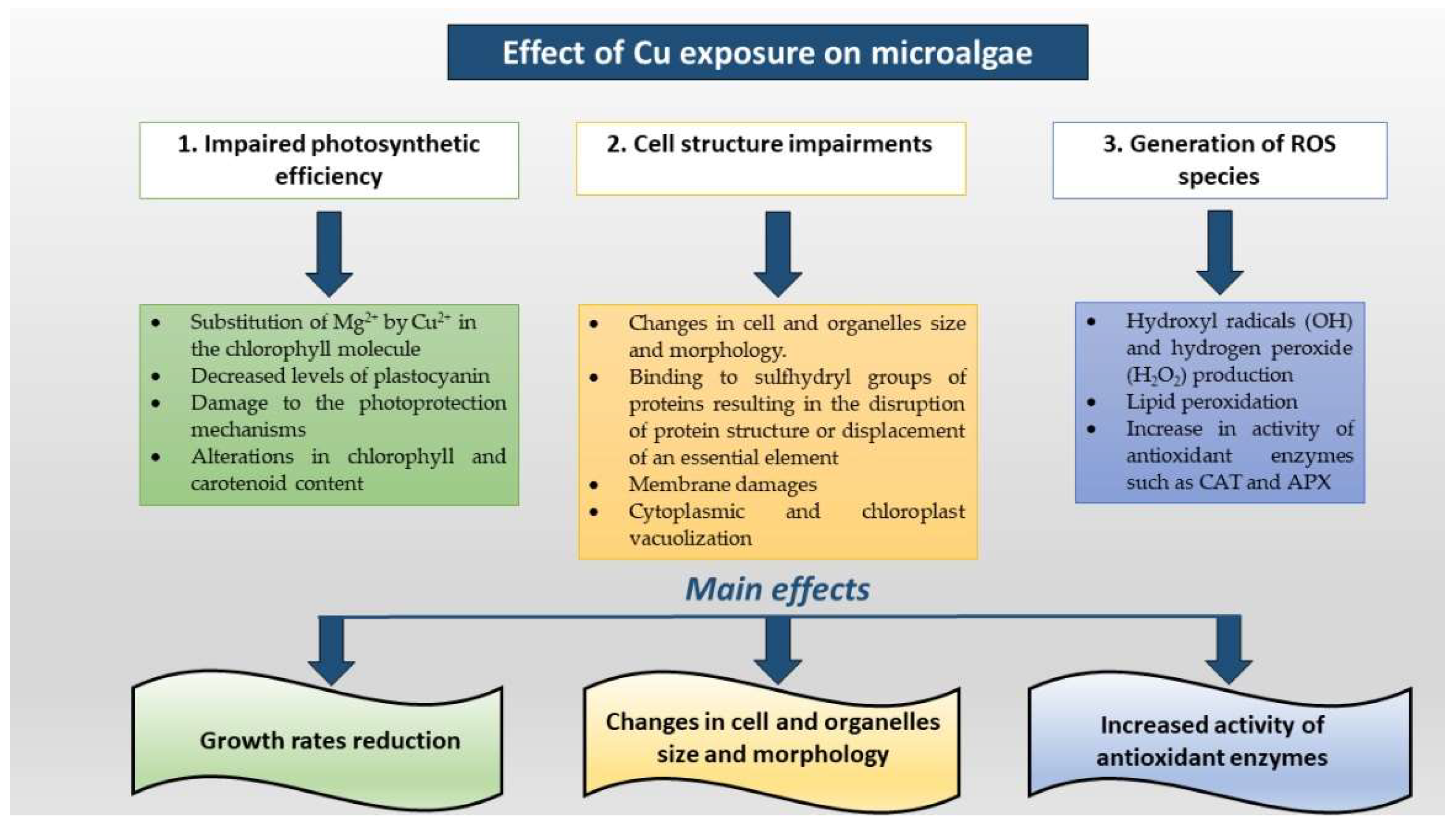 Toxics 10 00527 g002 550