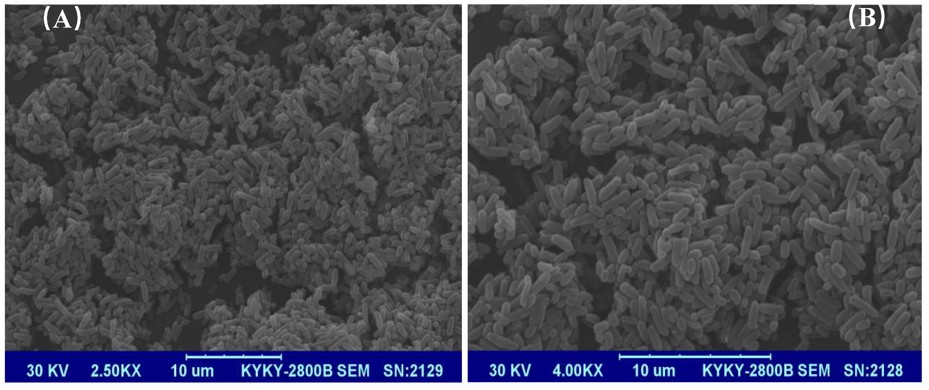 Toxics 10 00532 g001