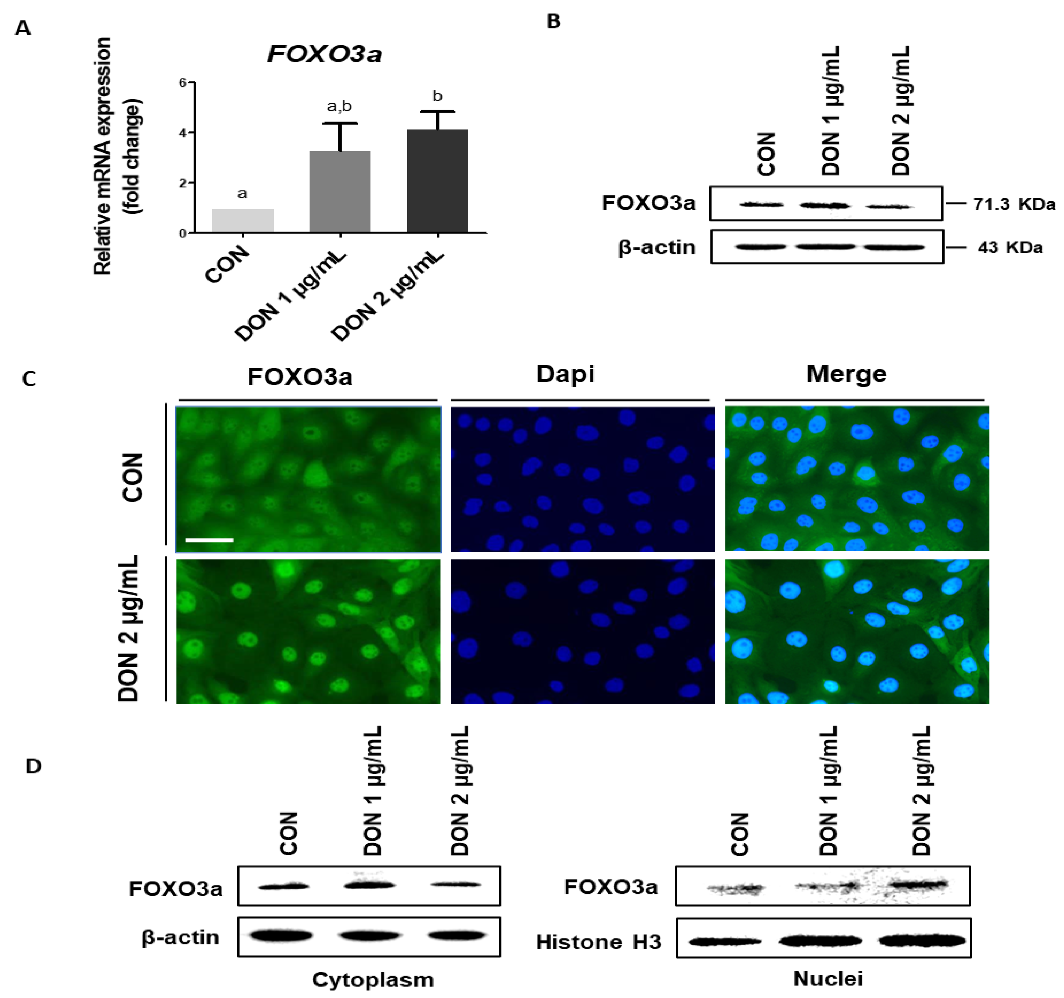Toxics 10 00535 g004