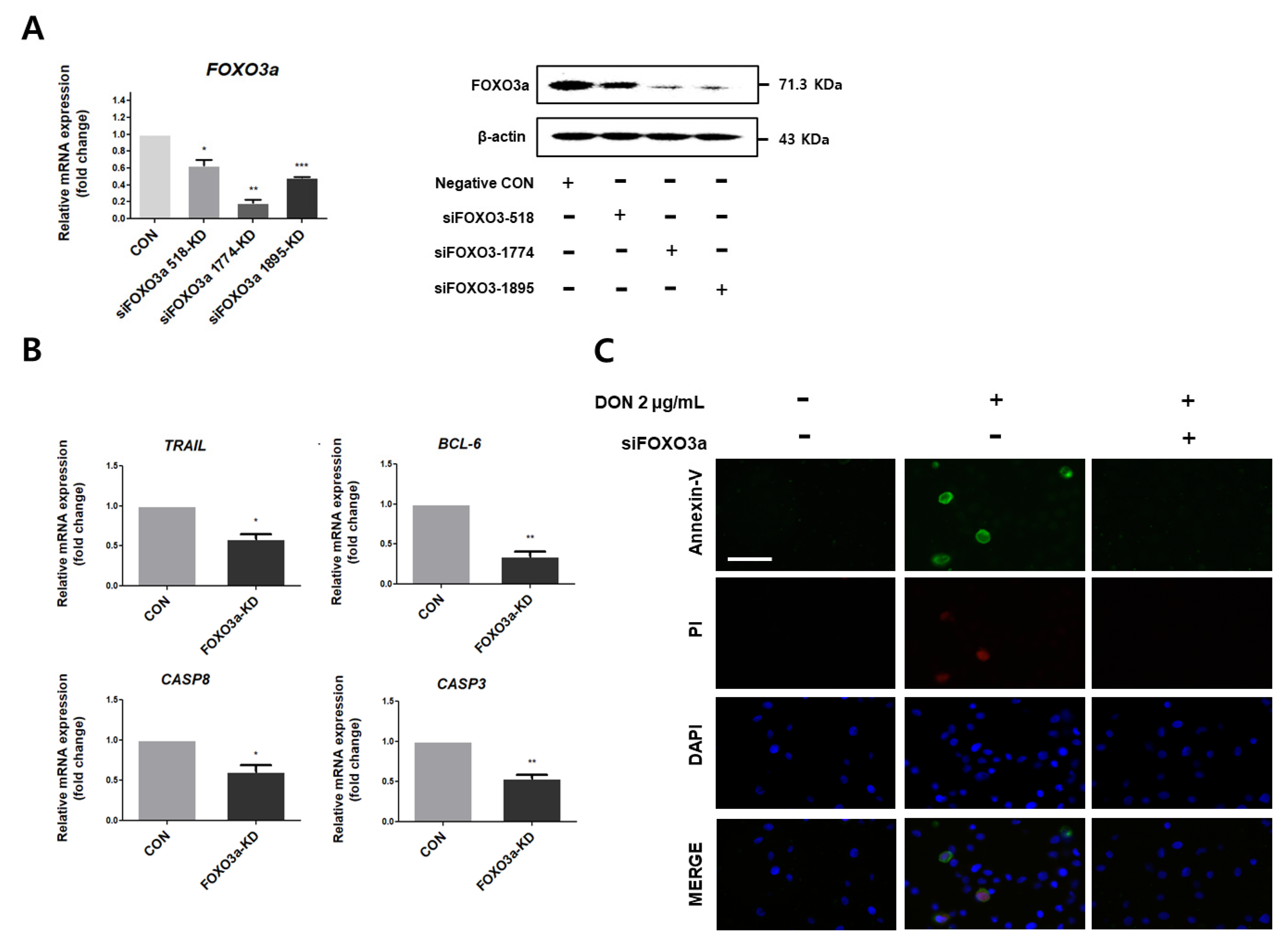 Toxics 10 00535 g005